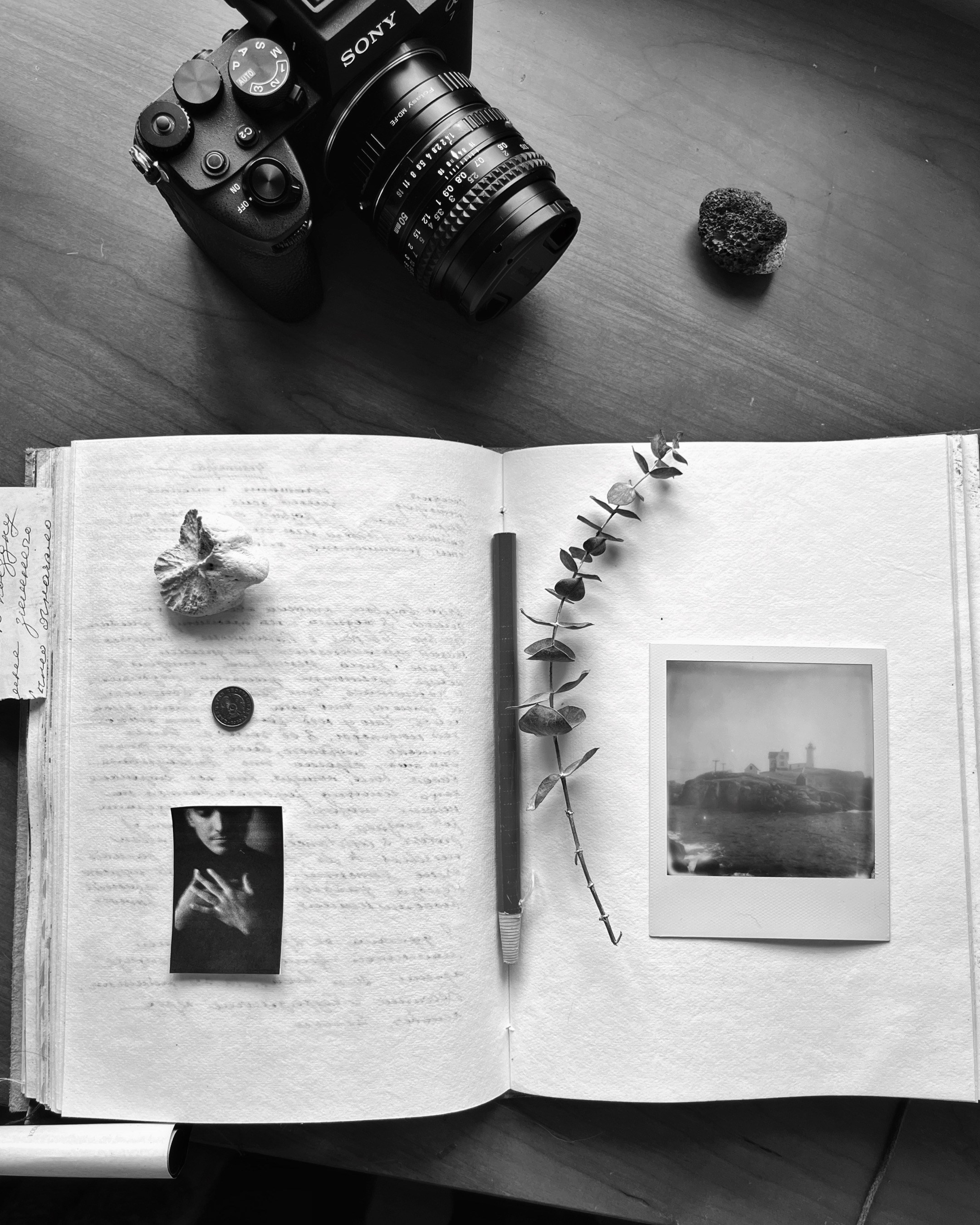 Therapeutic Photography Course: Self-Inquiry with Lens-Based Practices. Lilit Danielyan | Photographer & Videographer