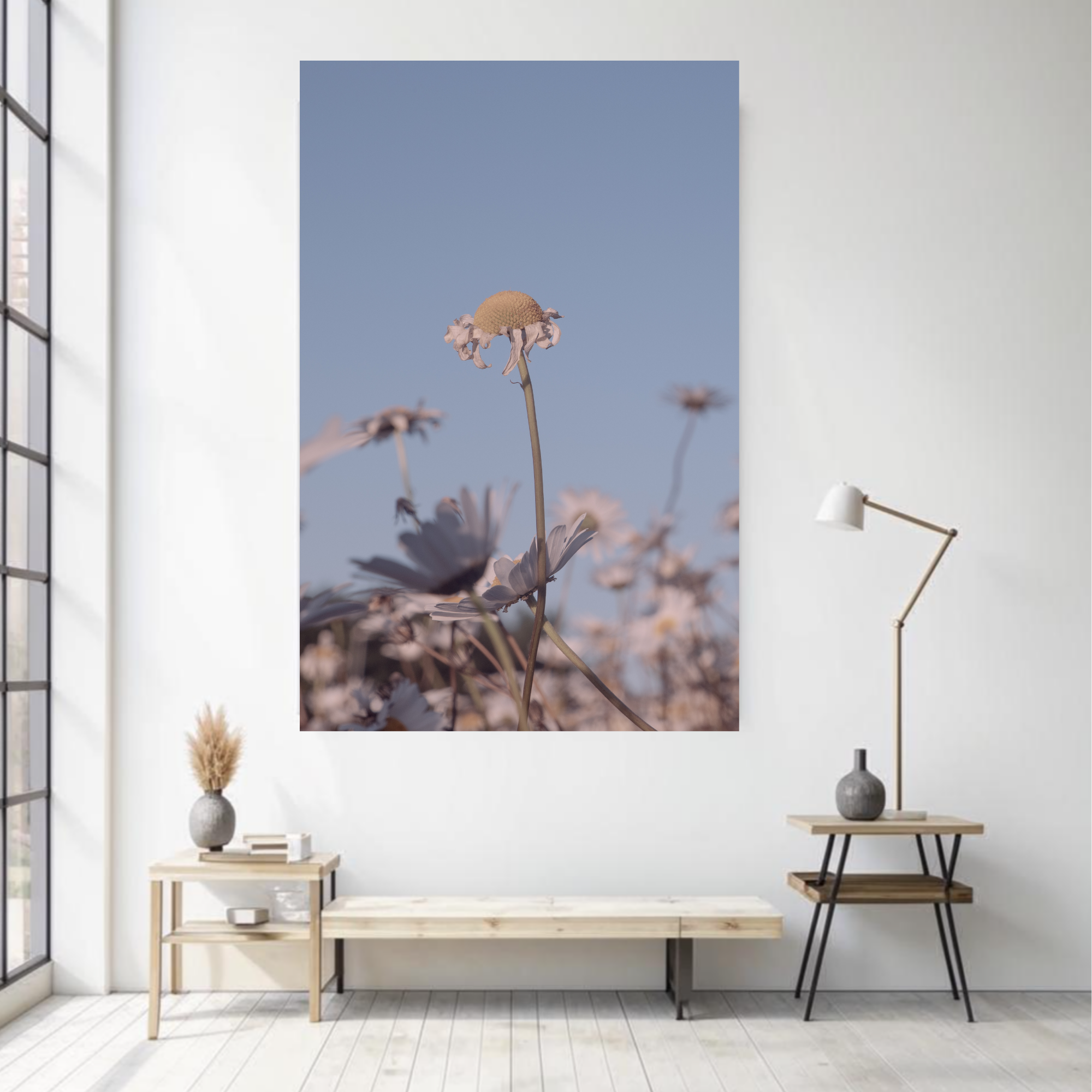 DAISIES. Natalja Poplavska — Visual artist, Photographer, East Sussex, London