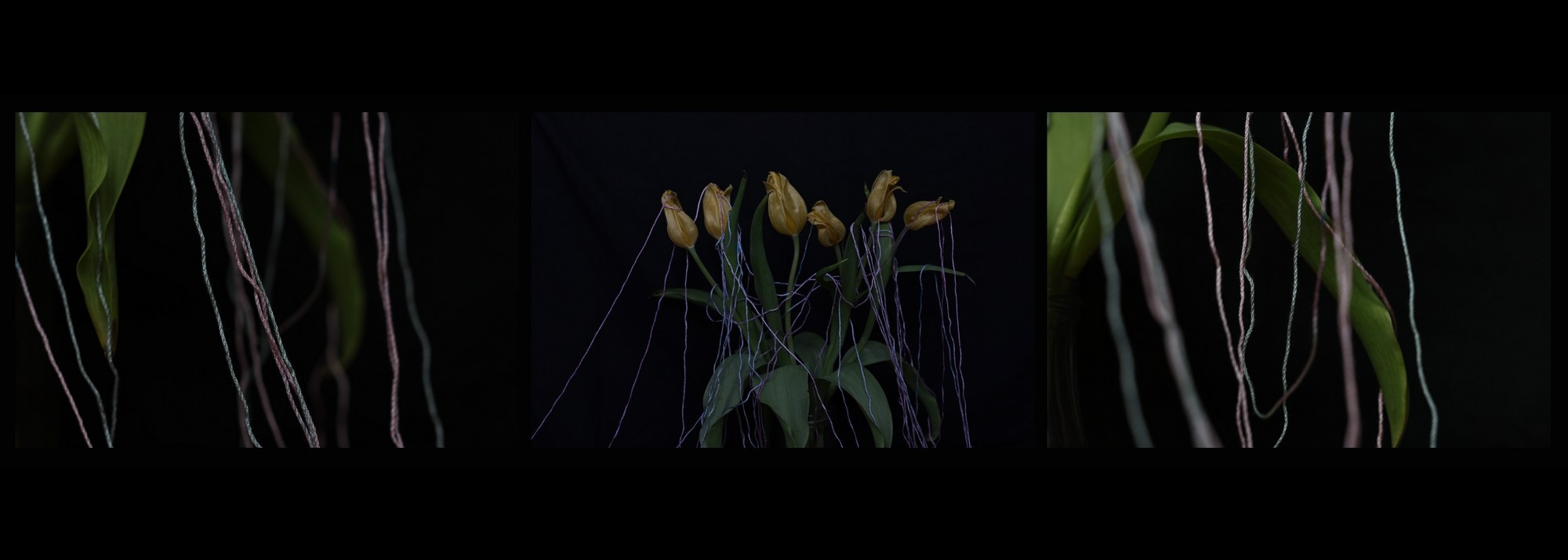 Siguen caminando dentro de mi corazón