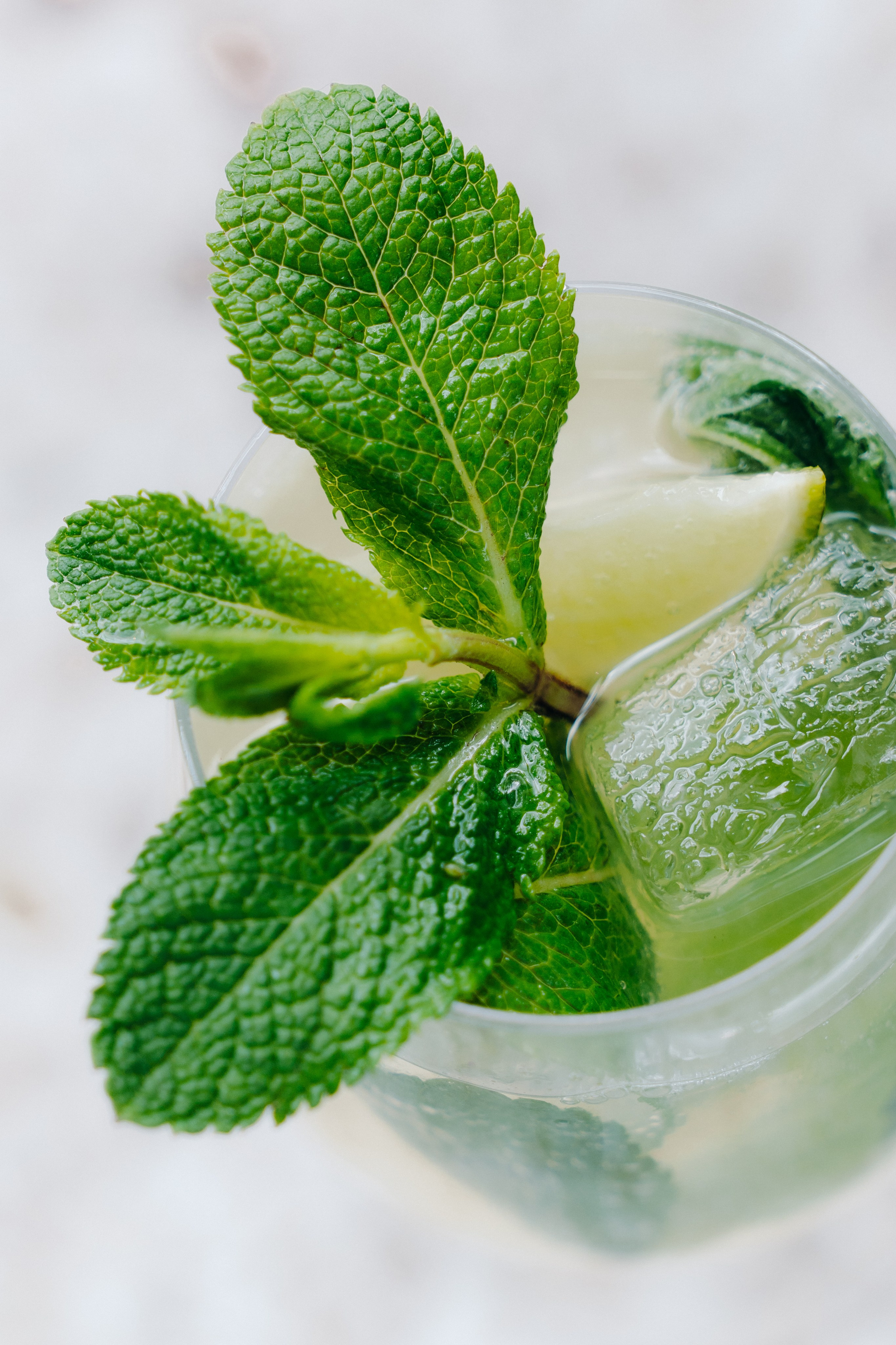 Schuman. Контент-фотограф Алина Филимонова