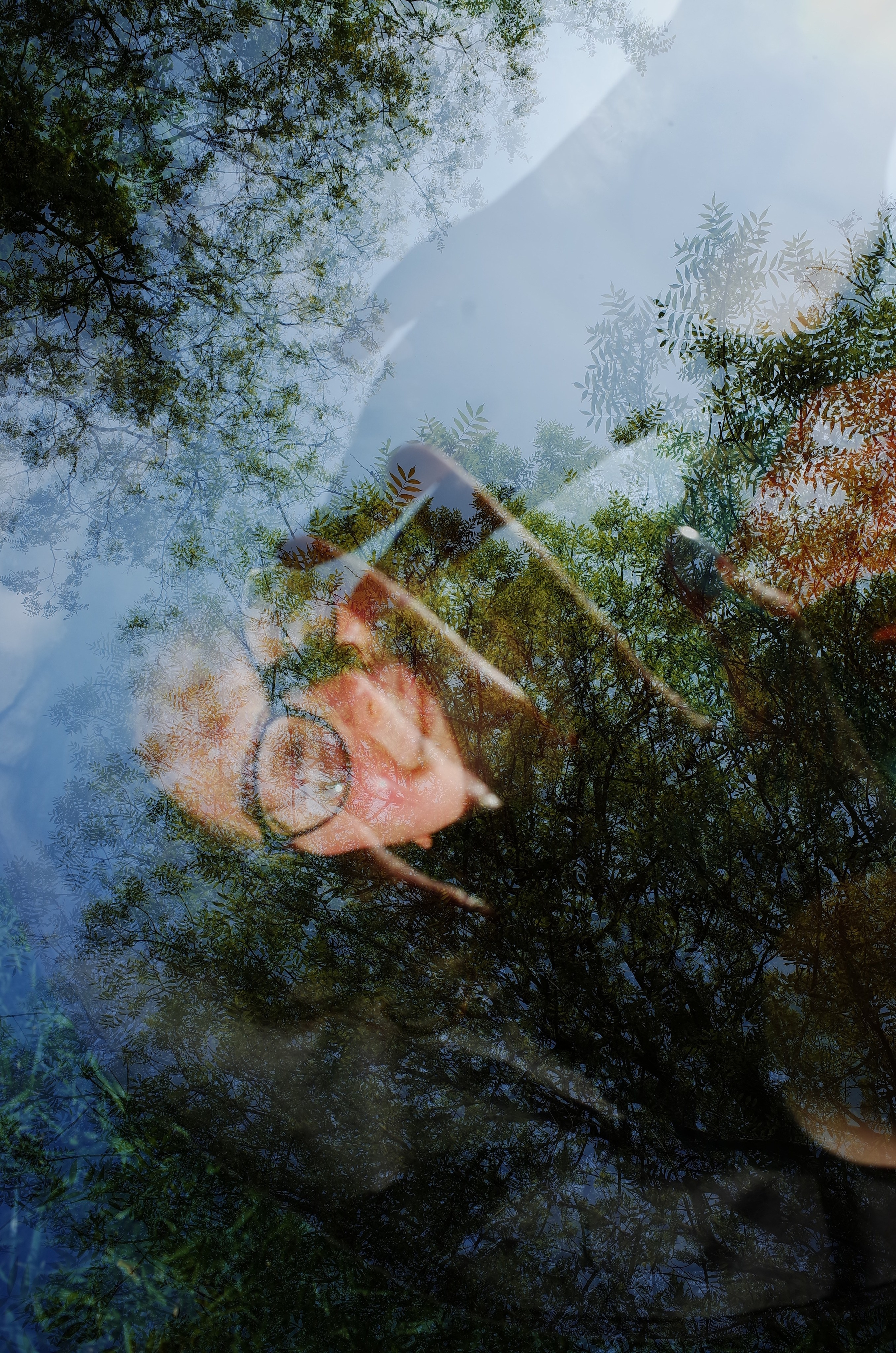 AutoHerbarium. Victoria Dini. Art photography in London / Folkestone, UK