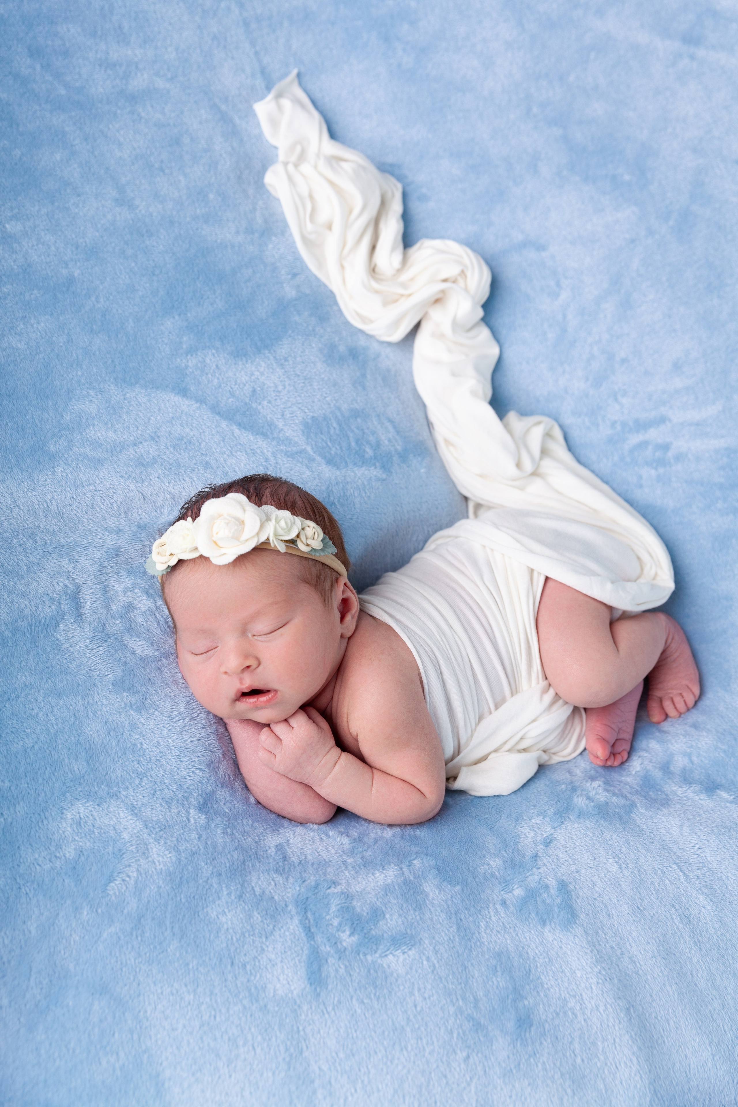 Services. Marina Pravda Photography San Francisco Bay Area