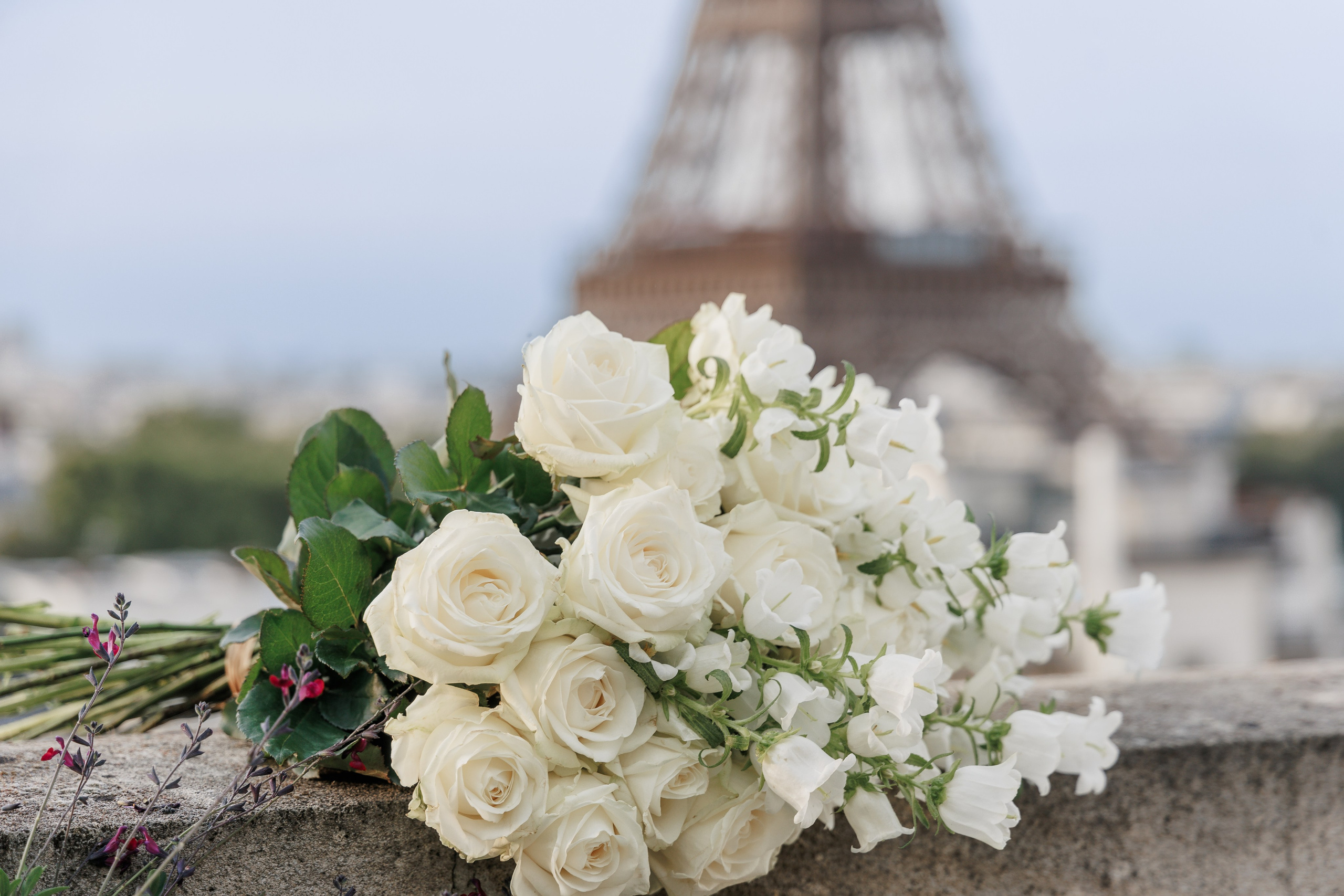 Bir-Hakeim Bridge in Paris — The Iconic Location for Luxury Proposal & Elopement Photography. Photographe à Paris