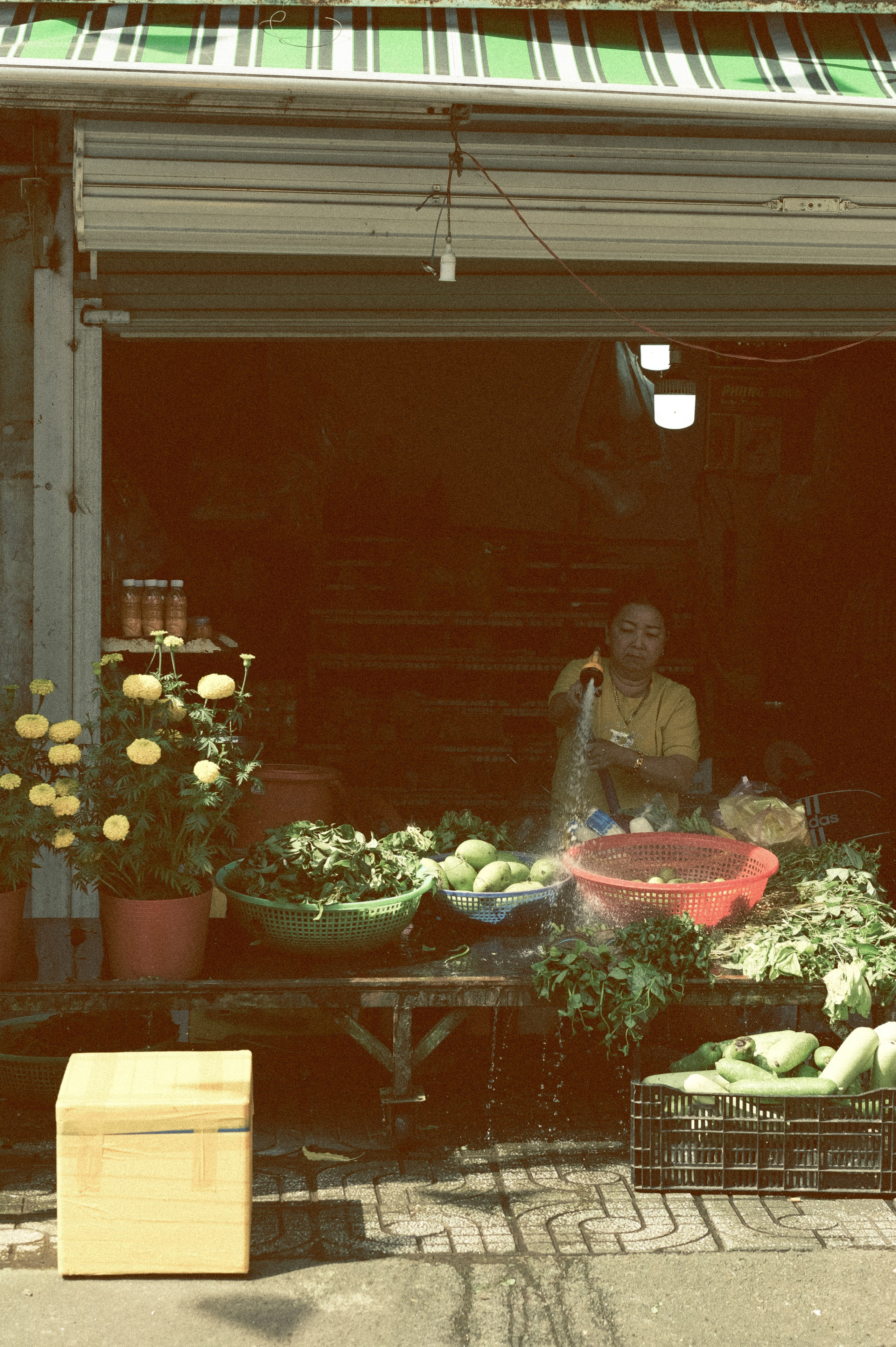 The Life of the Others | Phú Quốc 🇻🇳 |📍Vietnam. 中国街头摄影 | The Streets of China Through My Eyes | 深圳