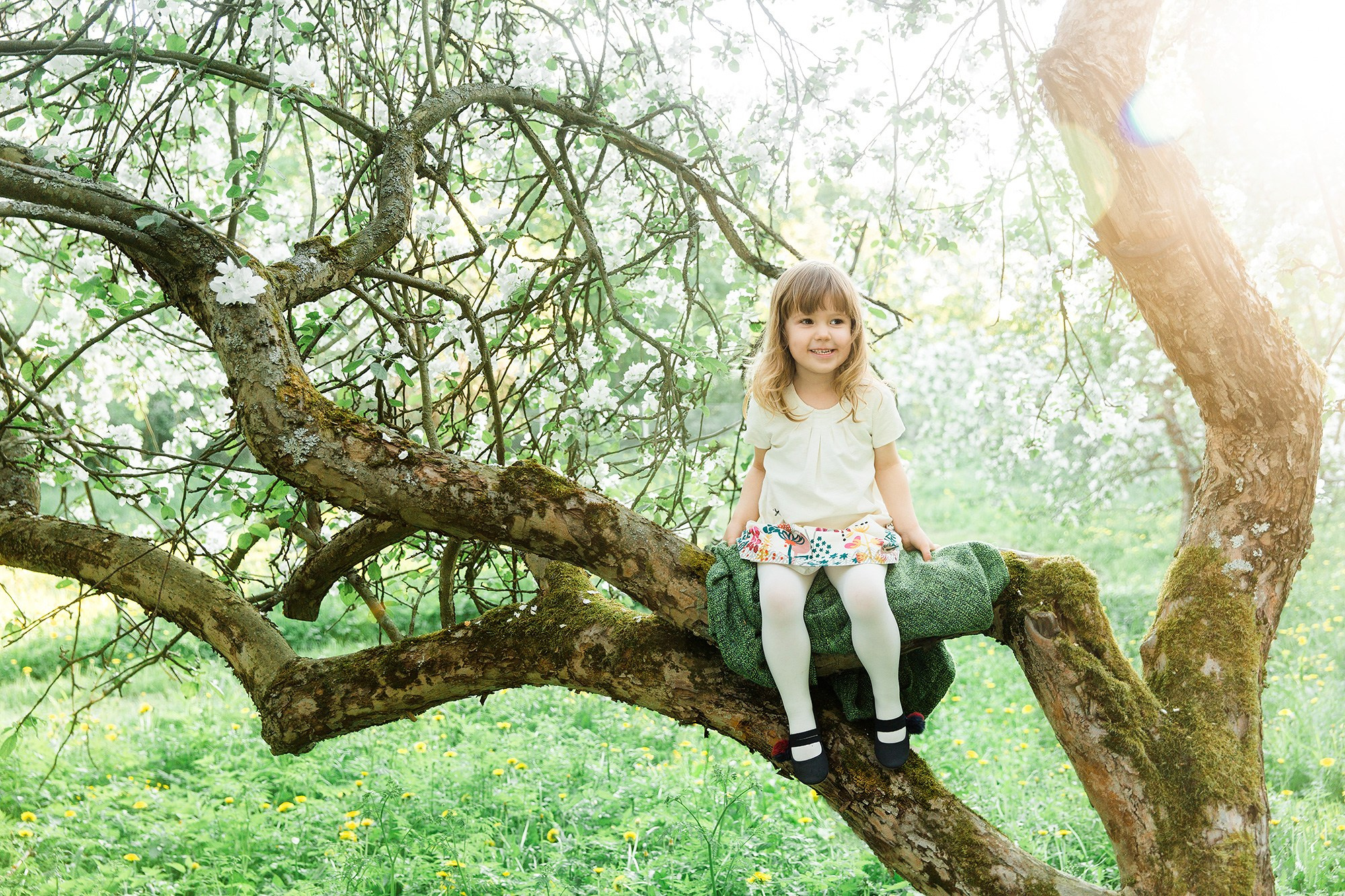 Minikuvaukset kirsikka-, omena- ja rodopuitossa