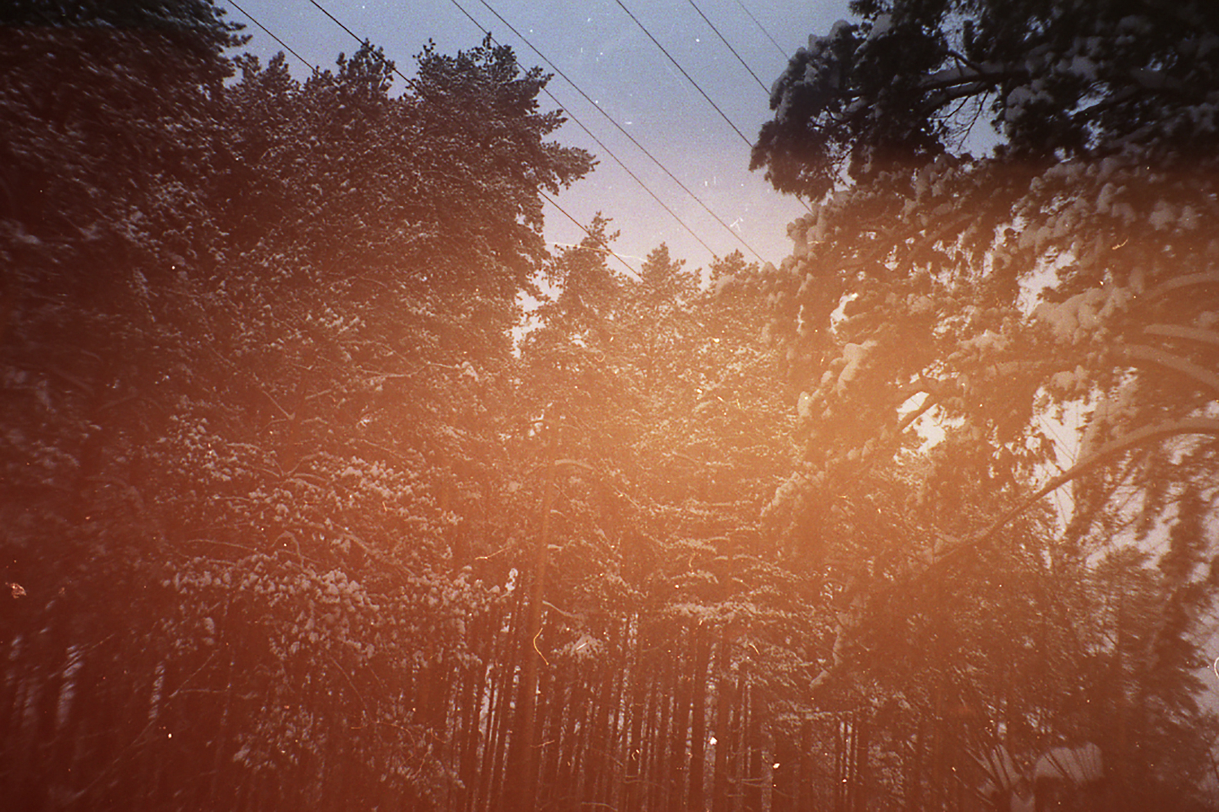 00s / The Zeroes. Polina Soyref, portrait photographer