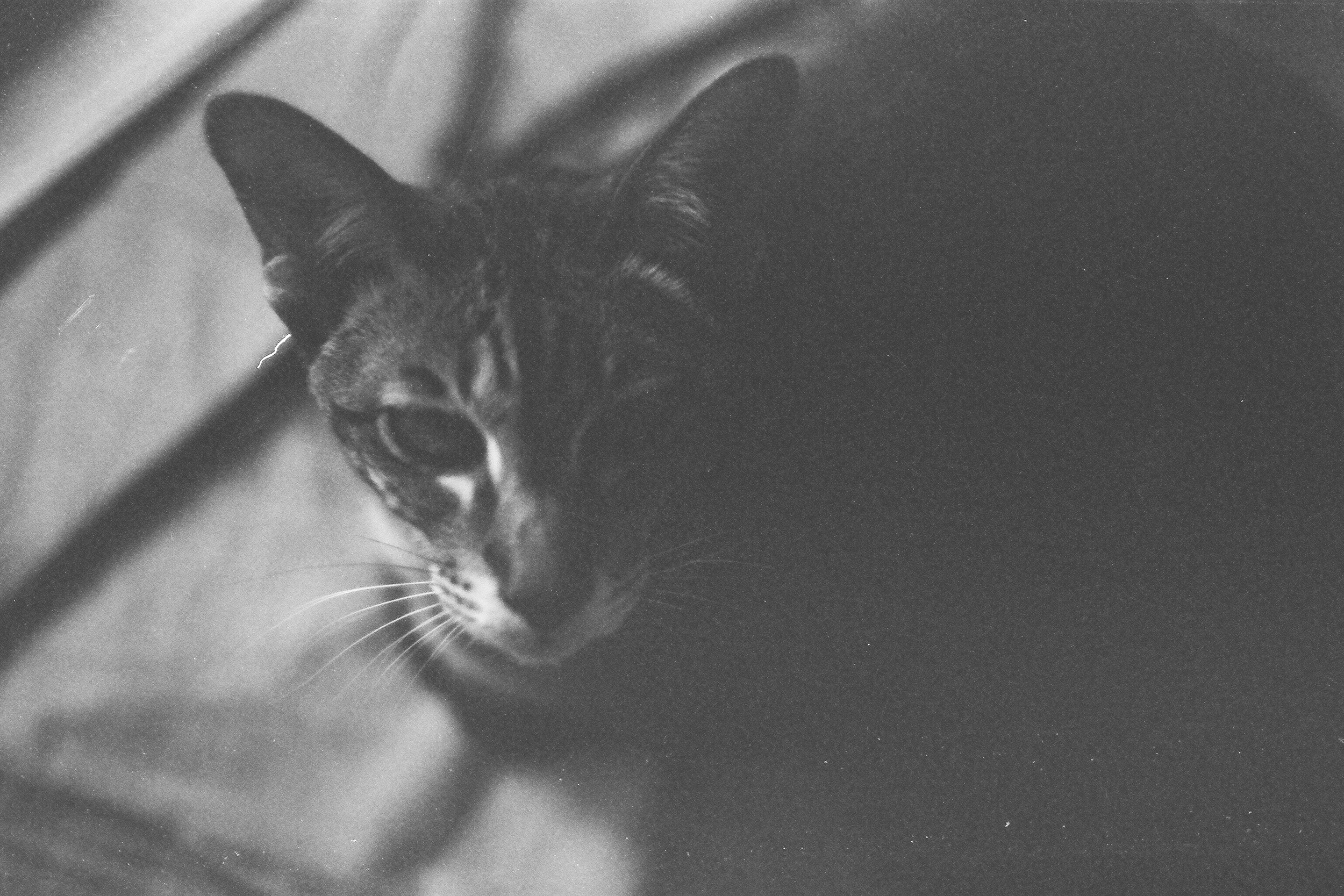 00s / The Zeroes. Polina Soyref, portrait photographer