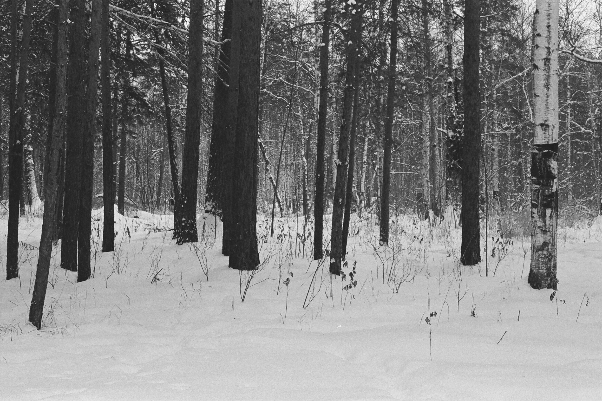 00s / The Zeroes. Polina Soyref, portrait photographer