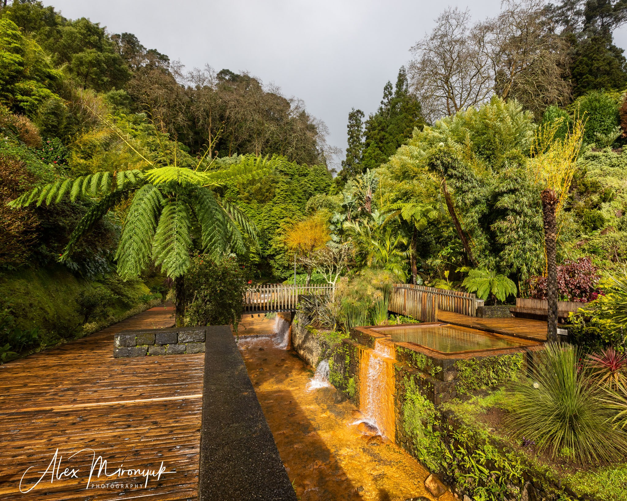 Azores And Madeira. Alex Mironyuk Photography