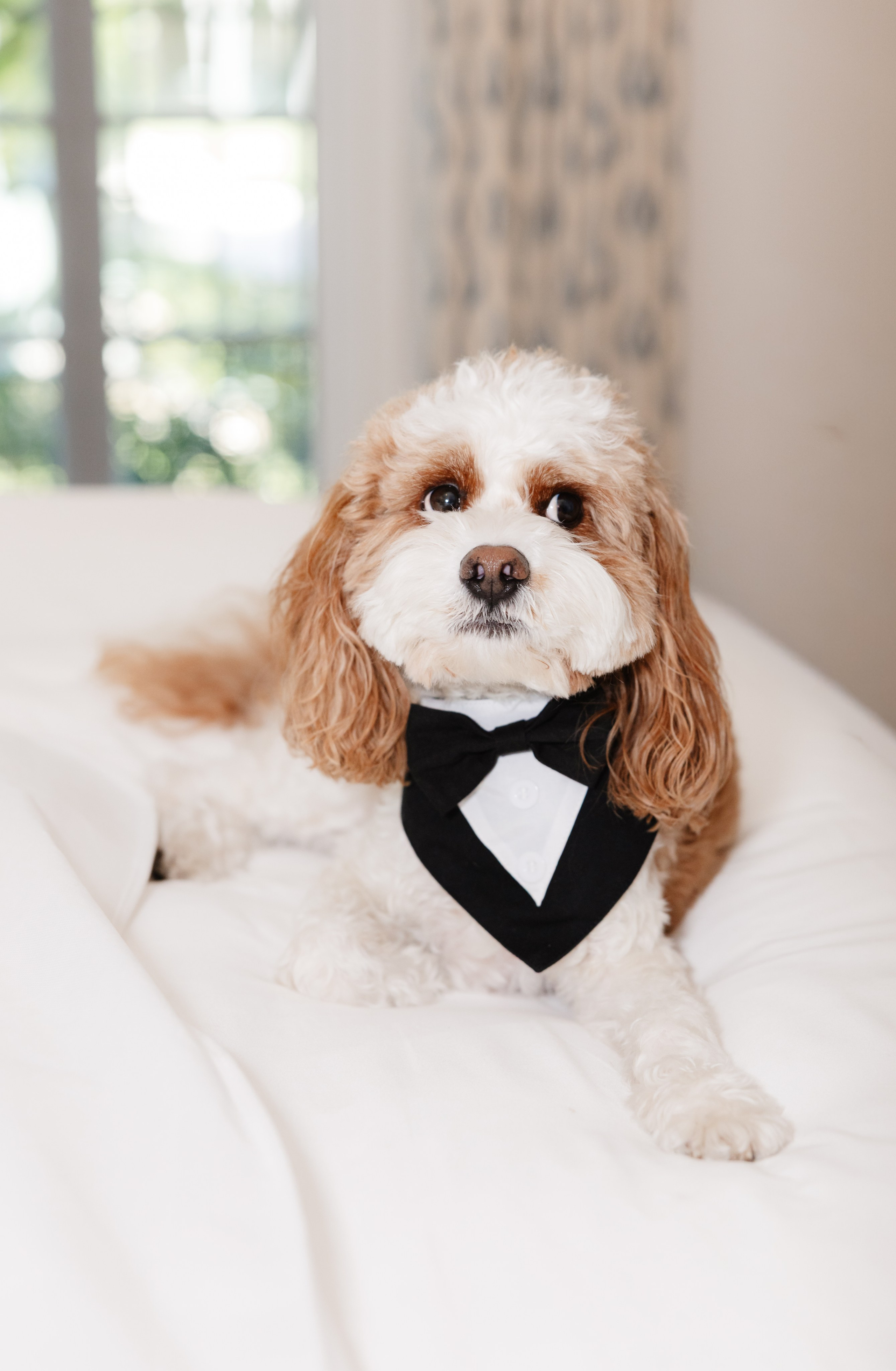 AMANDA & DAVID. YES I DO PRODUCTION — Wedding photography&videography