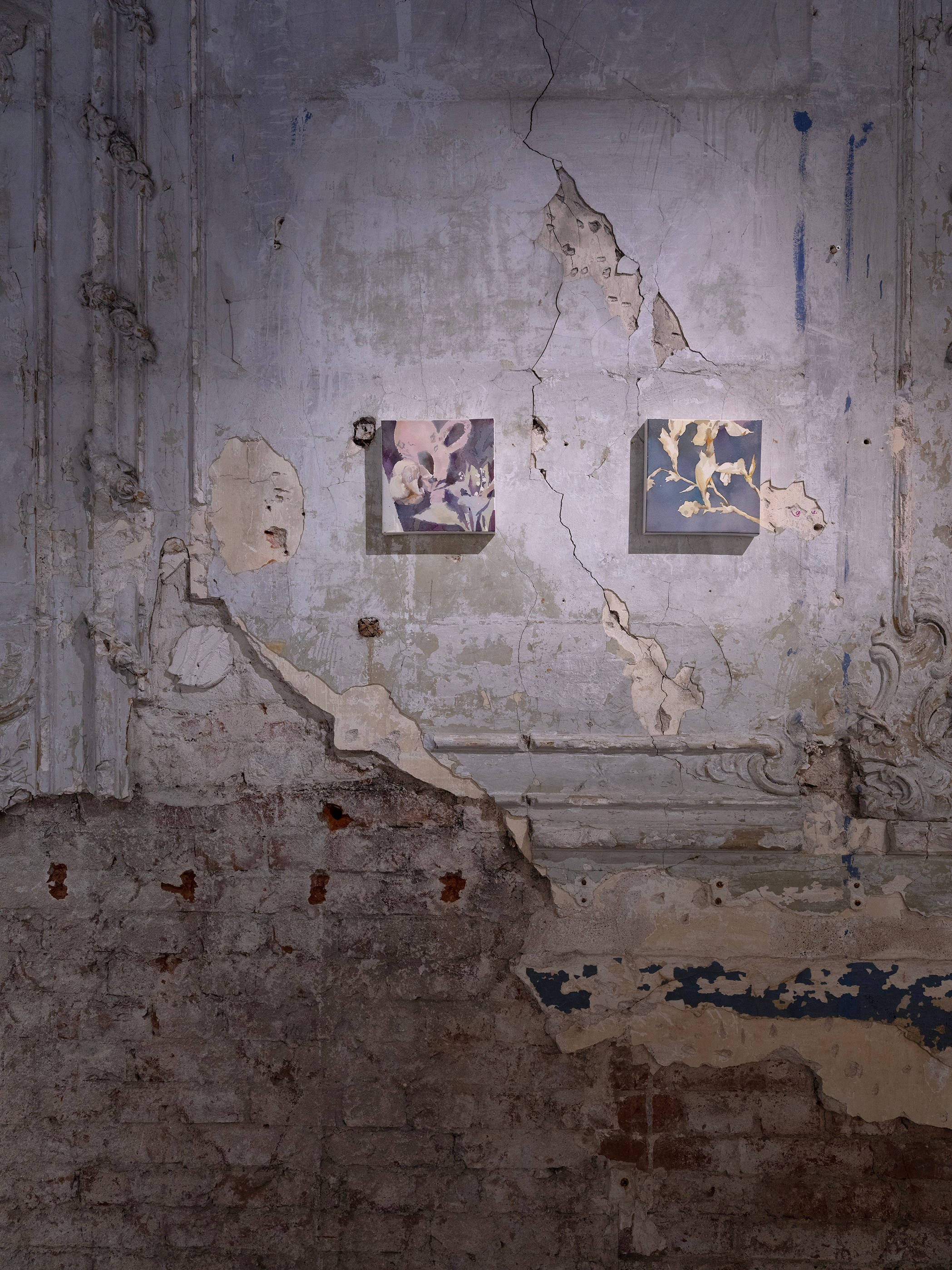 Частный парадайс | 2025. Alina Kugush