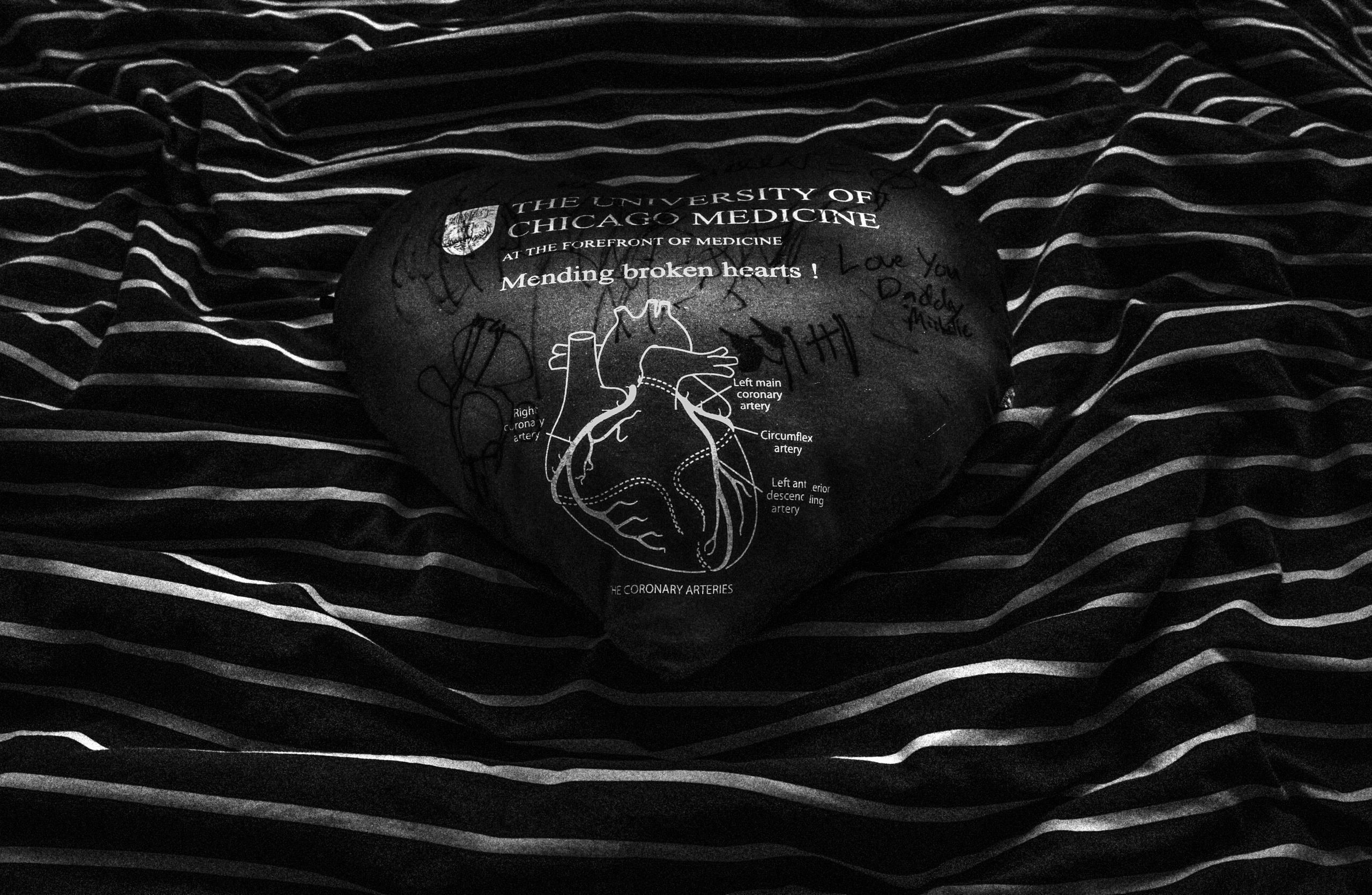 Project — 8 Minutes. Helen McLain Photography