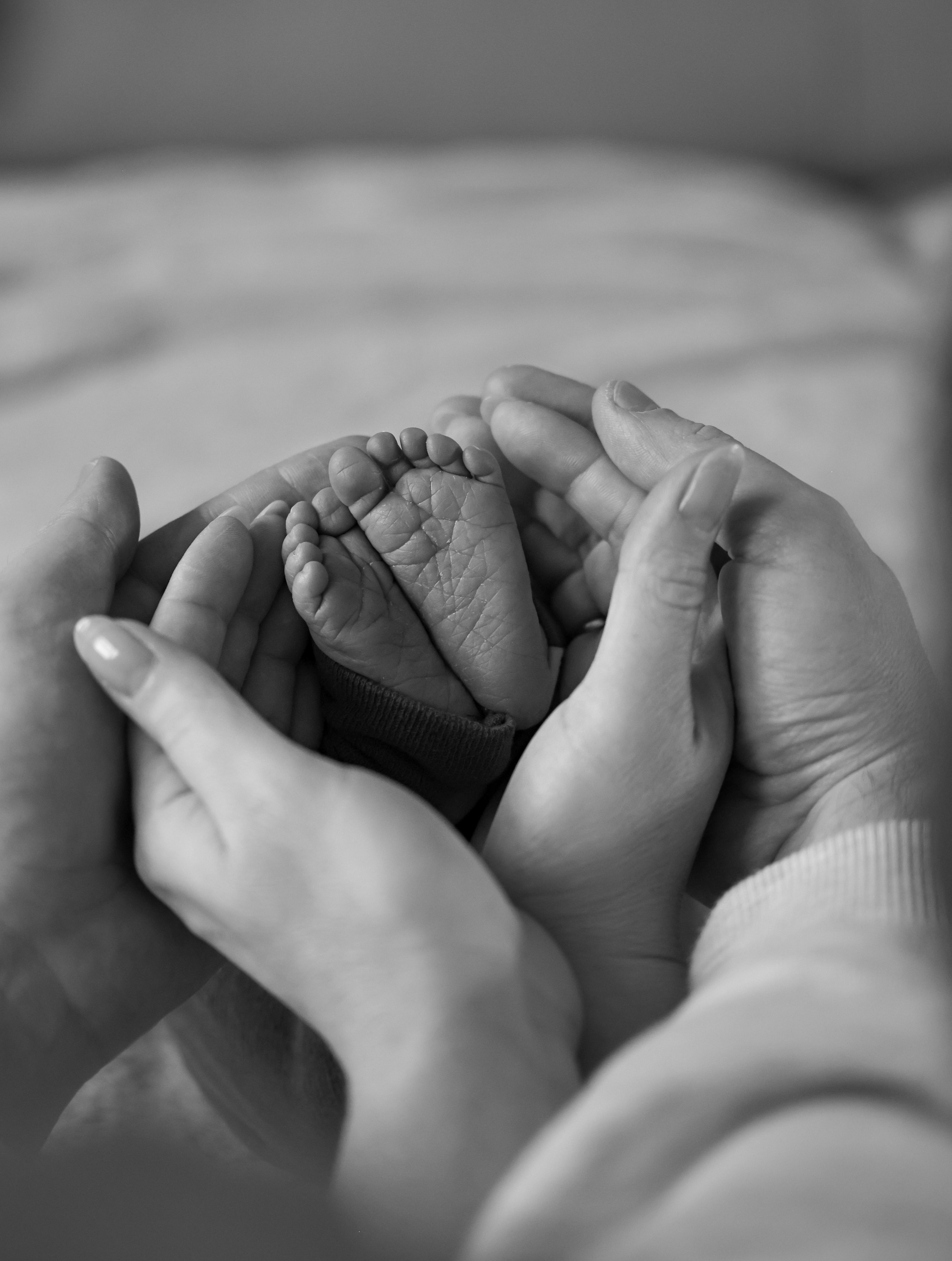 Portrait and Family Photographer in Netherlands