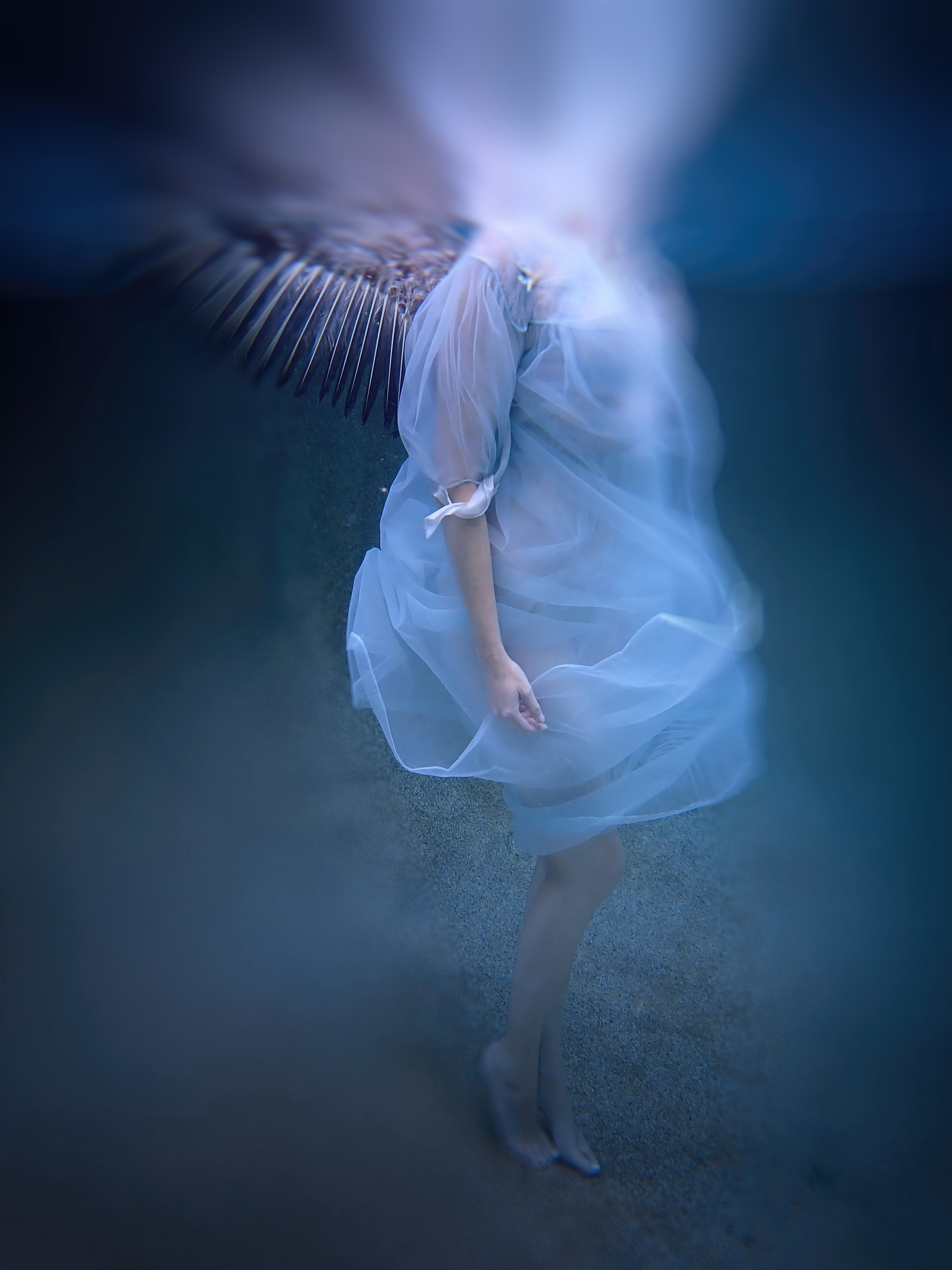 Photo by Kari Bishop