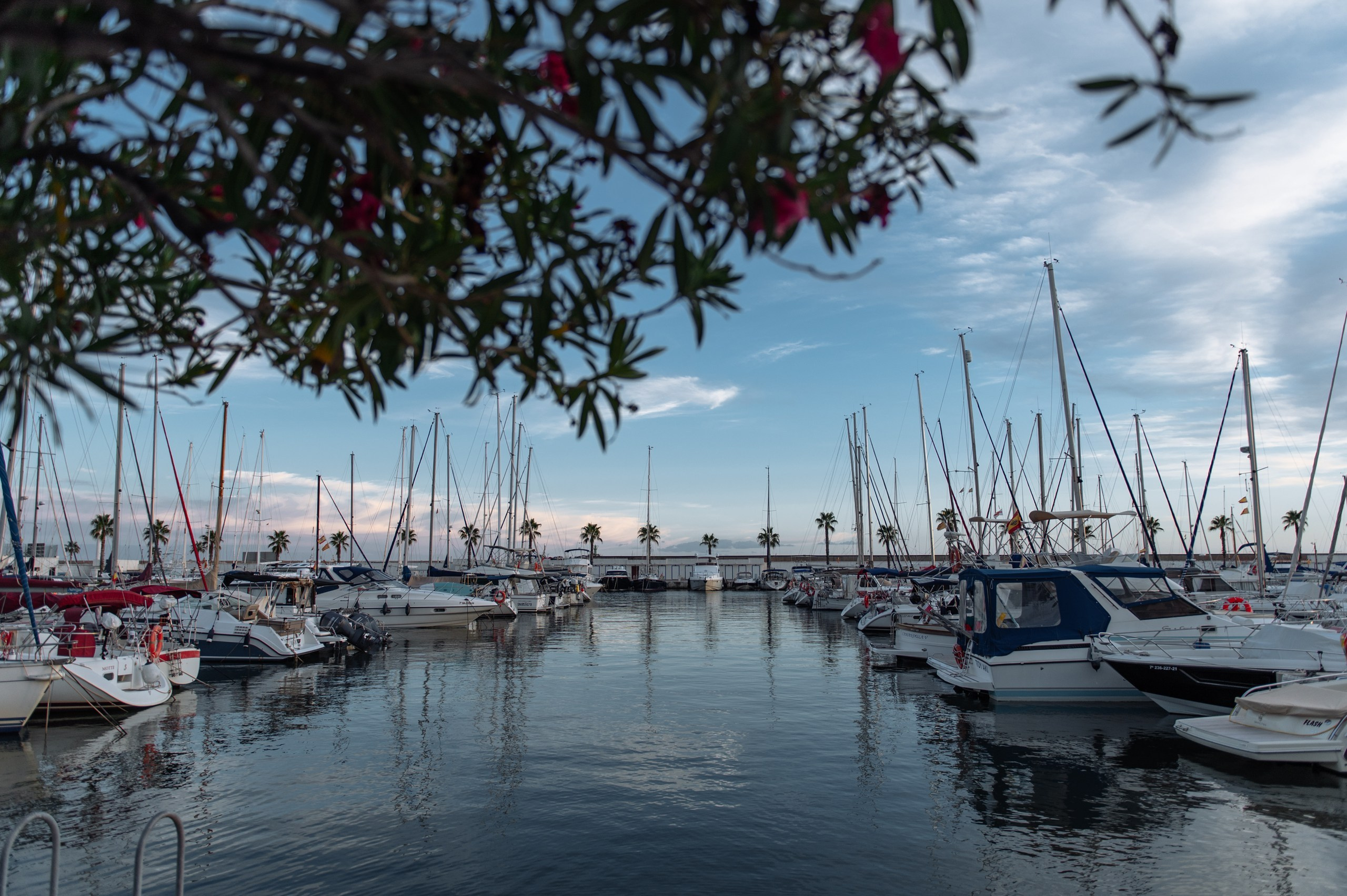 Fotografías de Bodas en Barcelona: Capturando Momentos Espontáneos y E. Fotógrafa Ekaterina Gasanova - sesiones de fotos en Barcelona