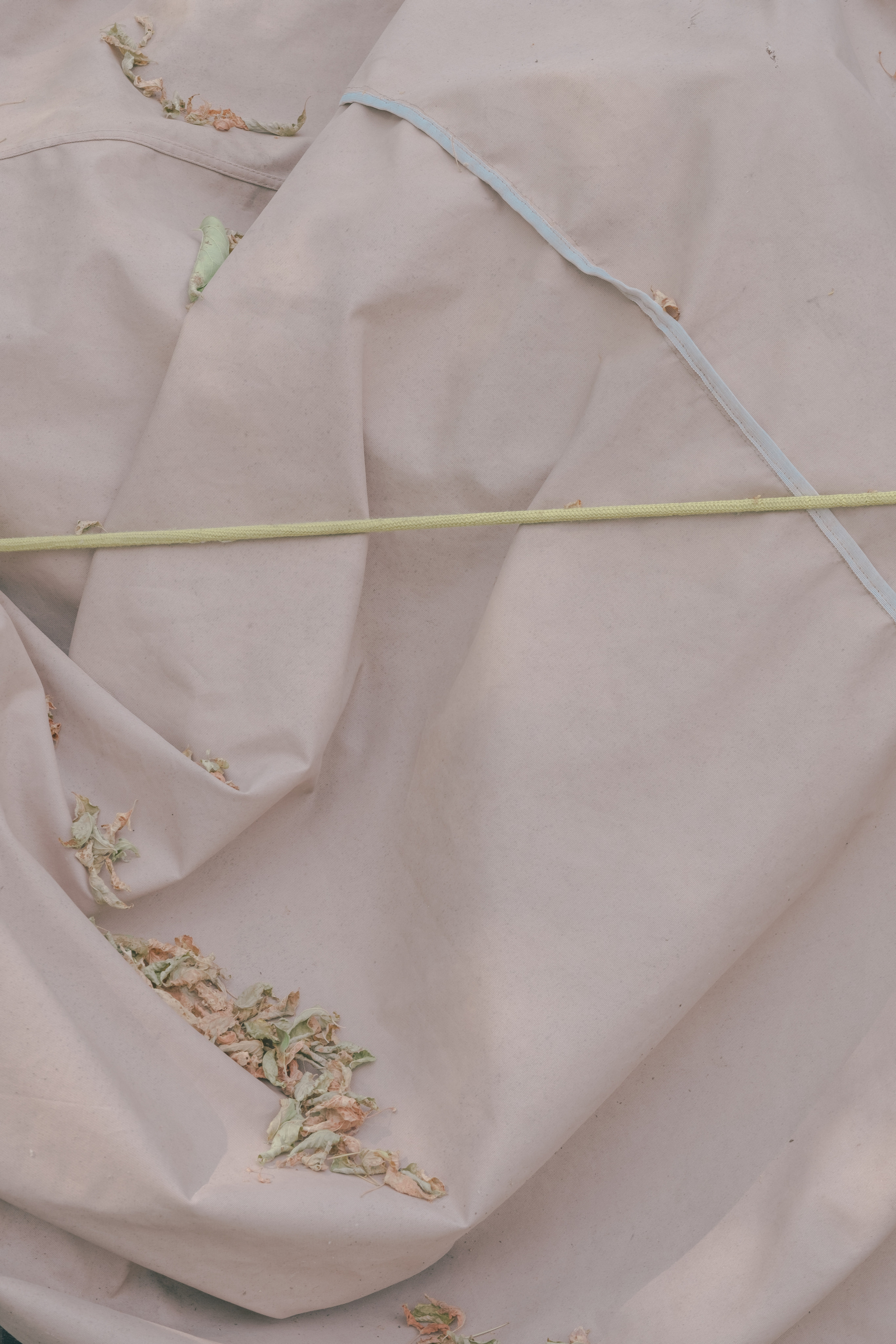 Friend for an hour. Photographer Anastasiya Dubrovina