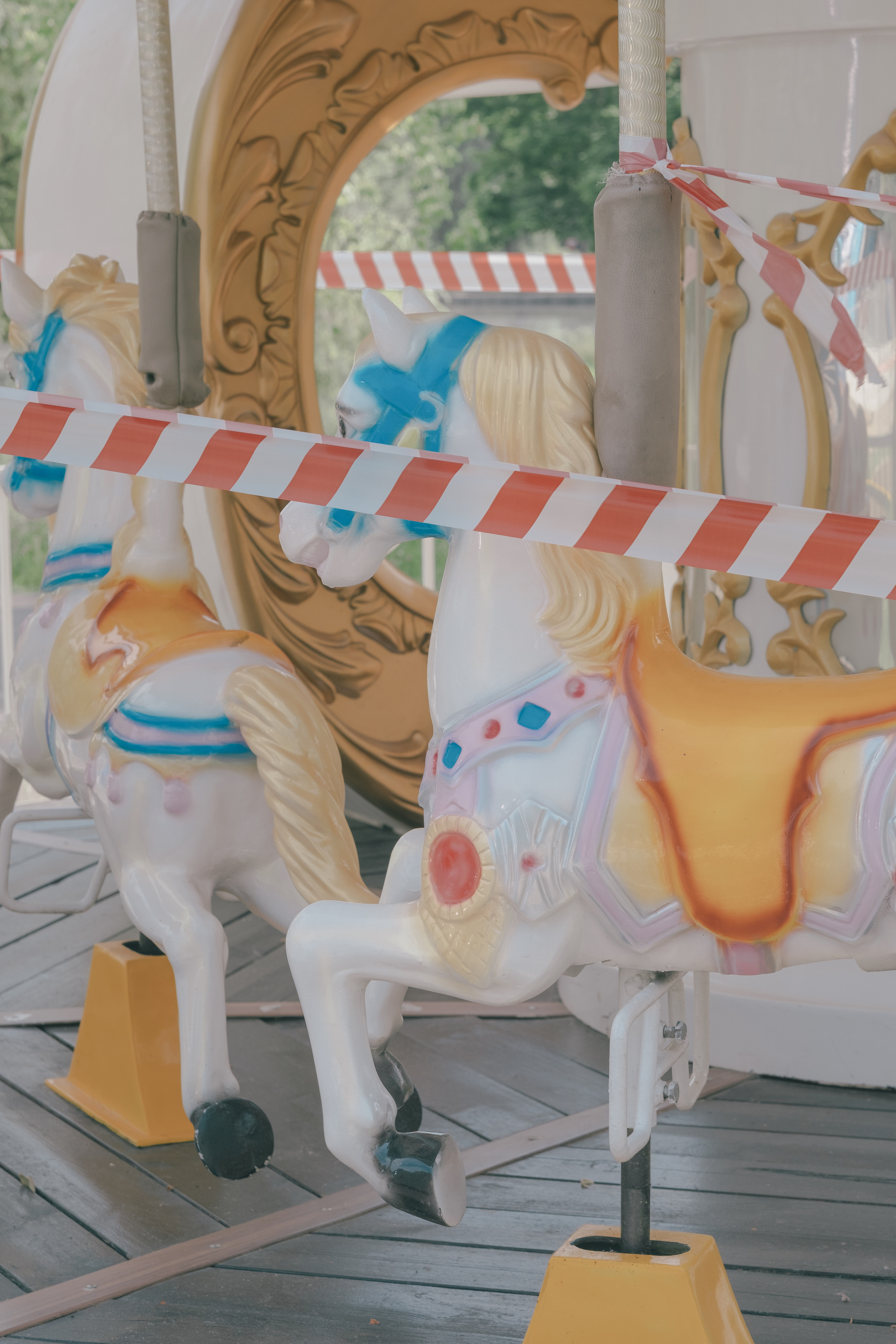 Friend for an hour. Photographer Anastasiya Dubrovina