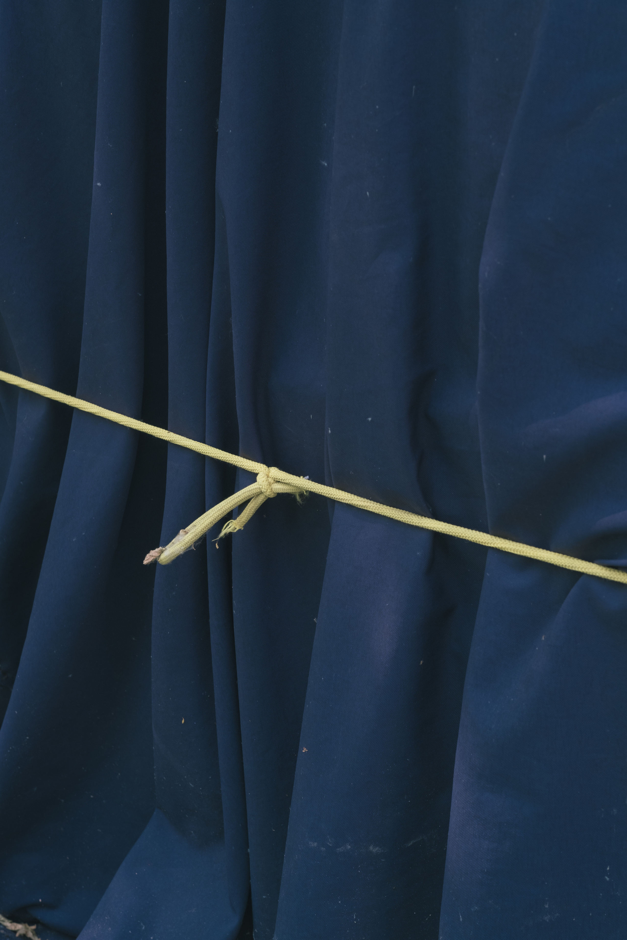 Friend for an hour. Photographer Anastasiya Dubrovina