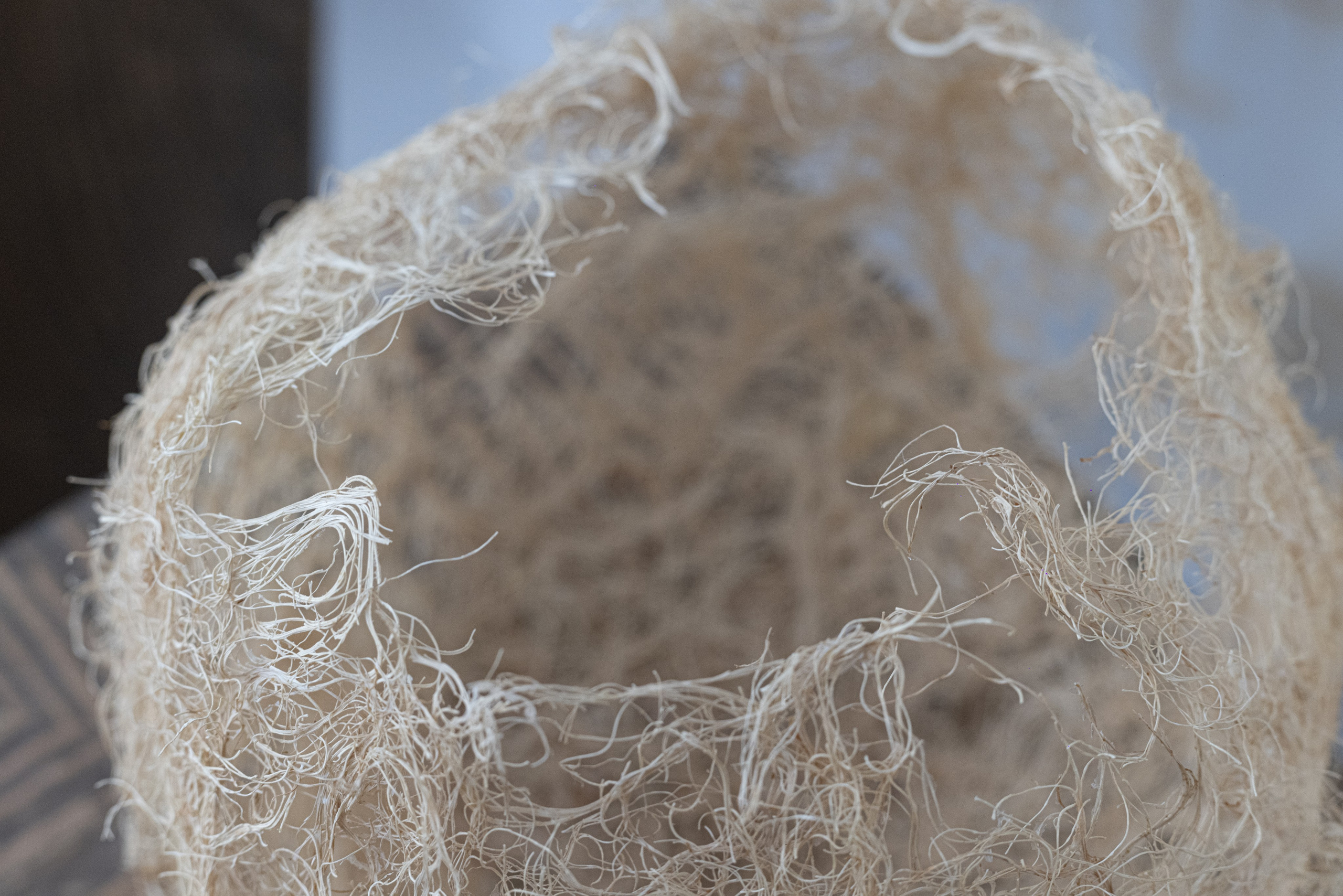 « Évolution de l’archaïque ». Natalia Bogdanovska. Films et photographie corporate en France