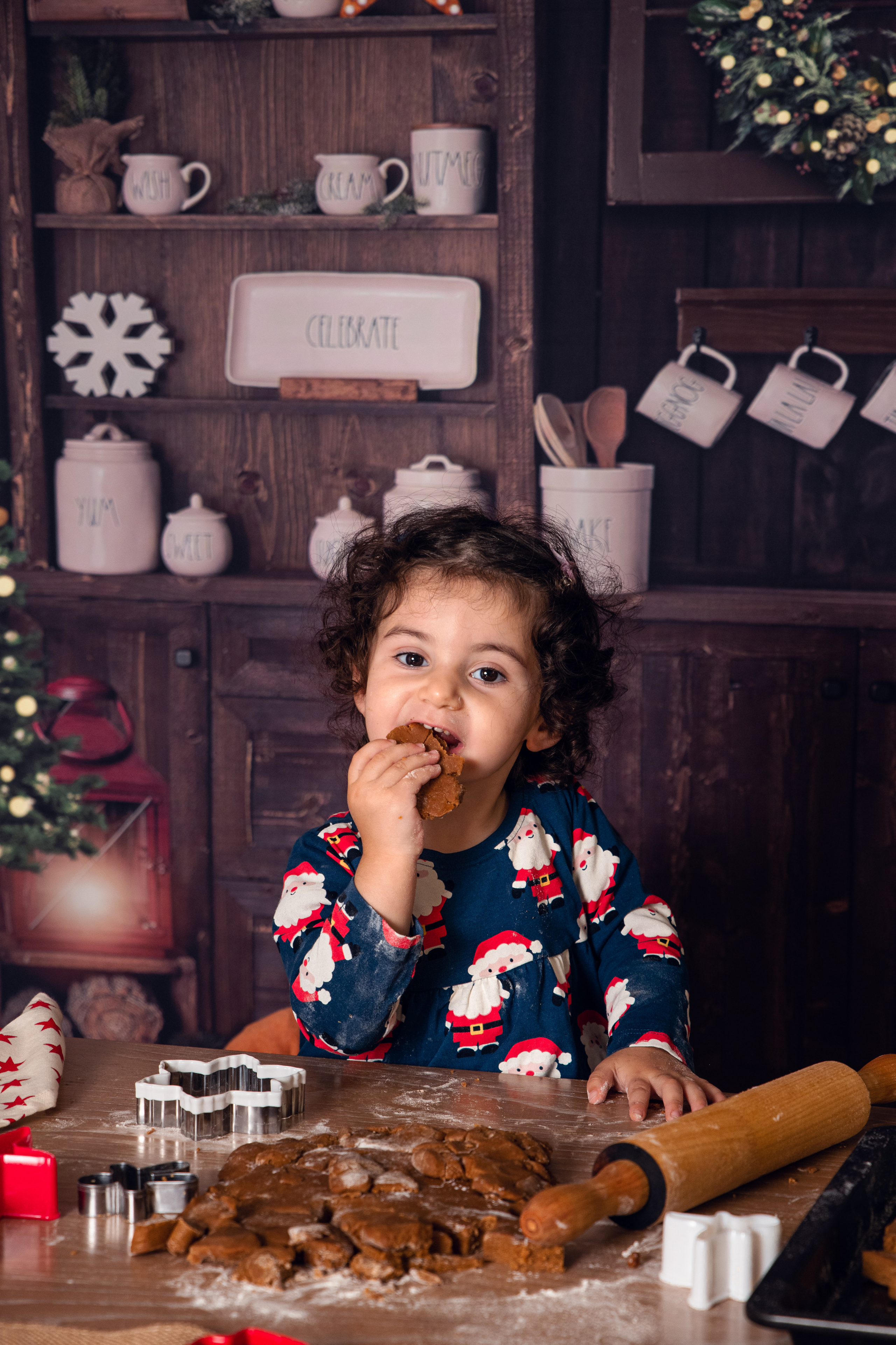 Рождество. Семейный и детский фотограф