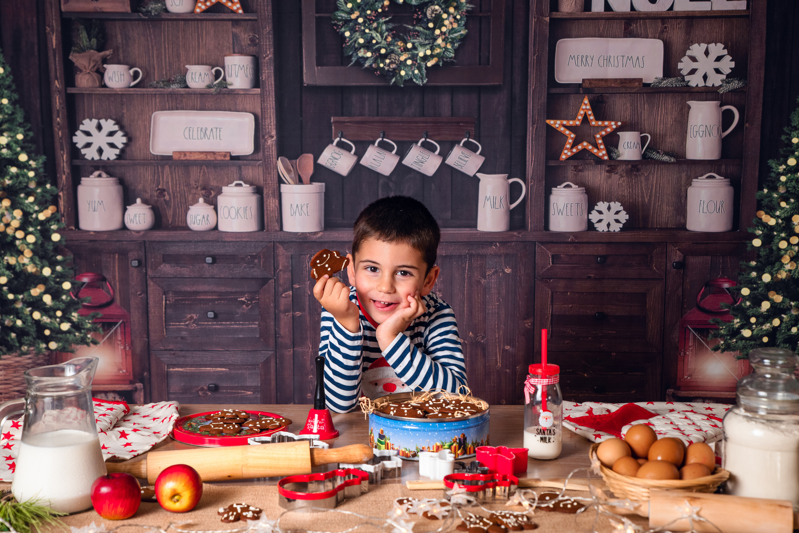 Рождество. Семейный и детский фотограф