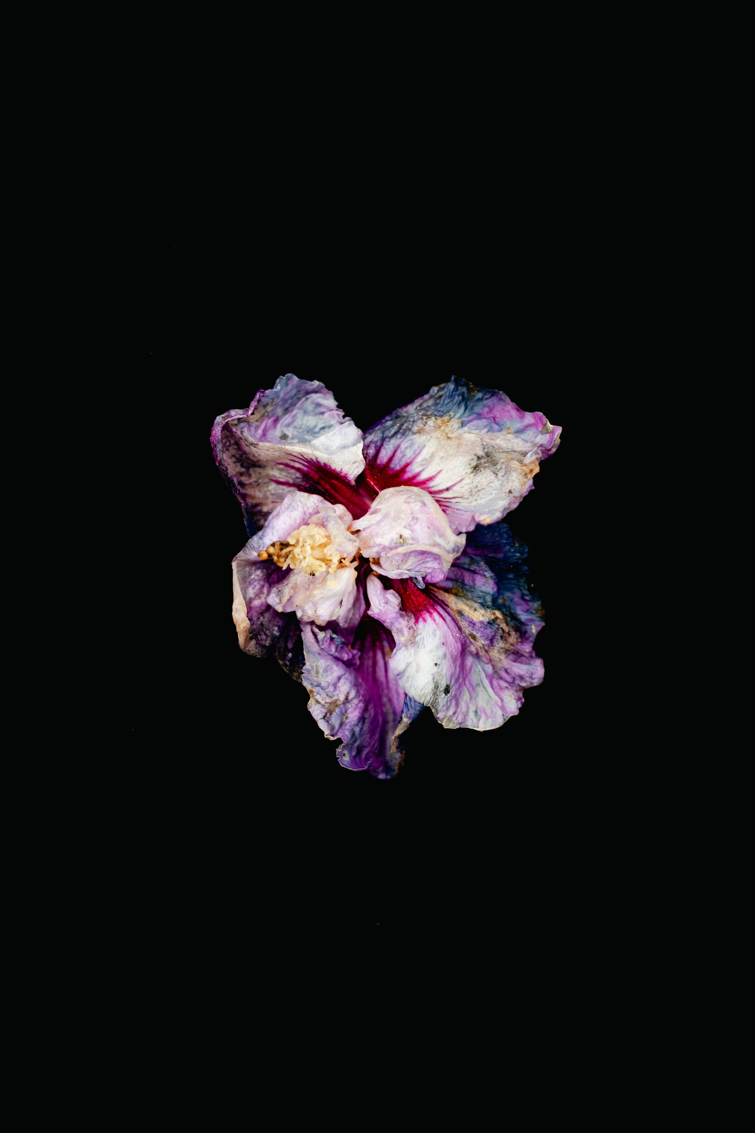 Life is beautiful at every stage. Look Around You