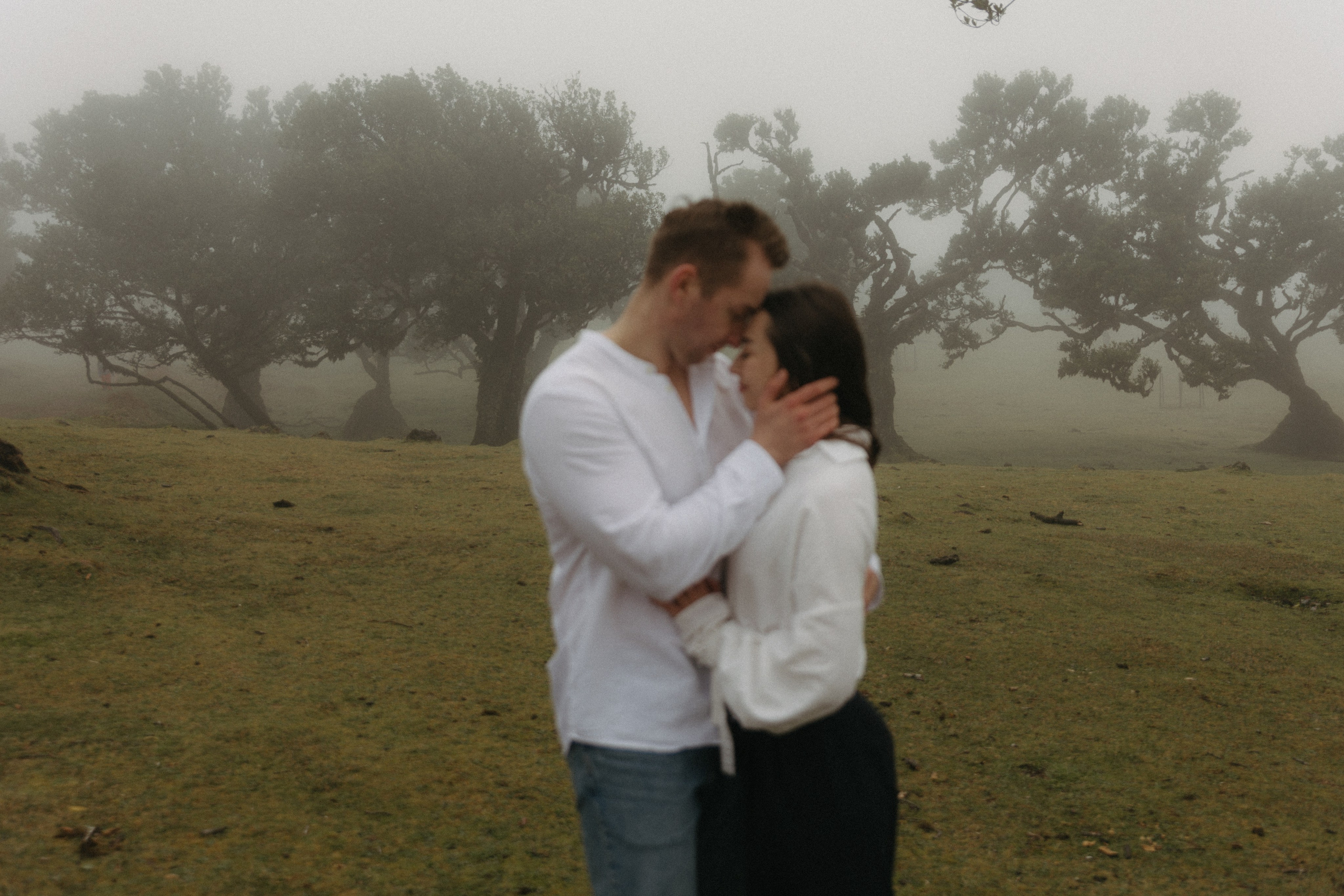 Magic of Fanal Forest. Wedding photographer and videographer based in Timisoara, Romania