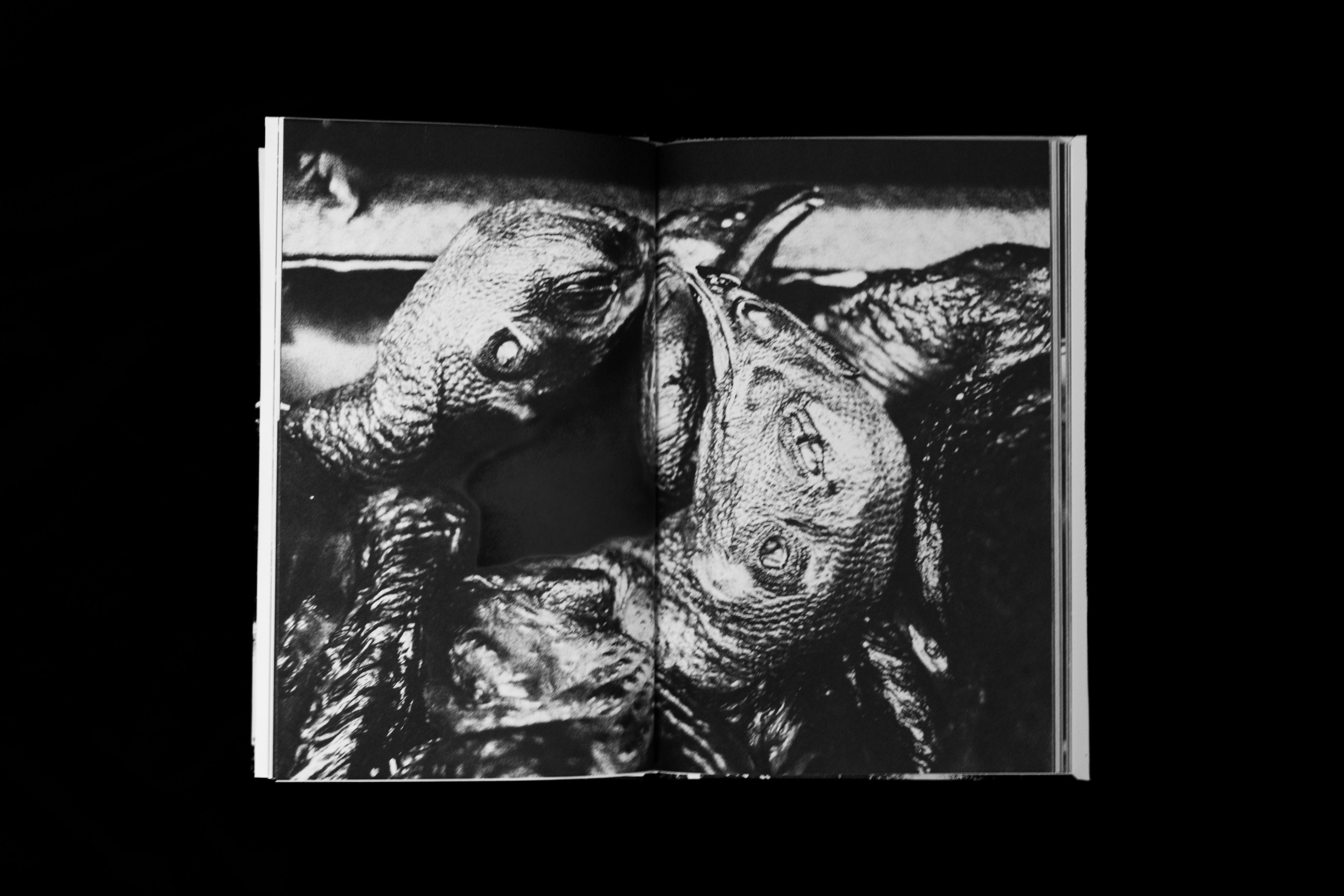 Books. Tatiana Kireicheva