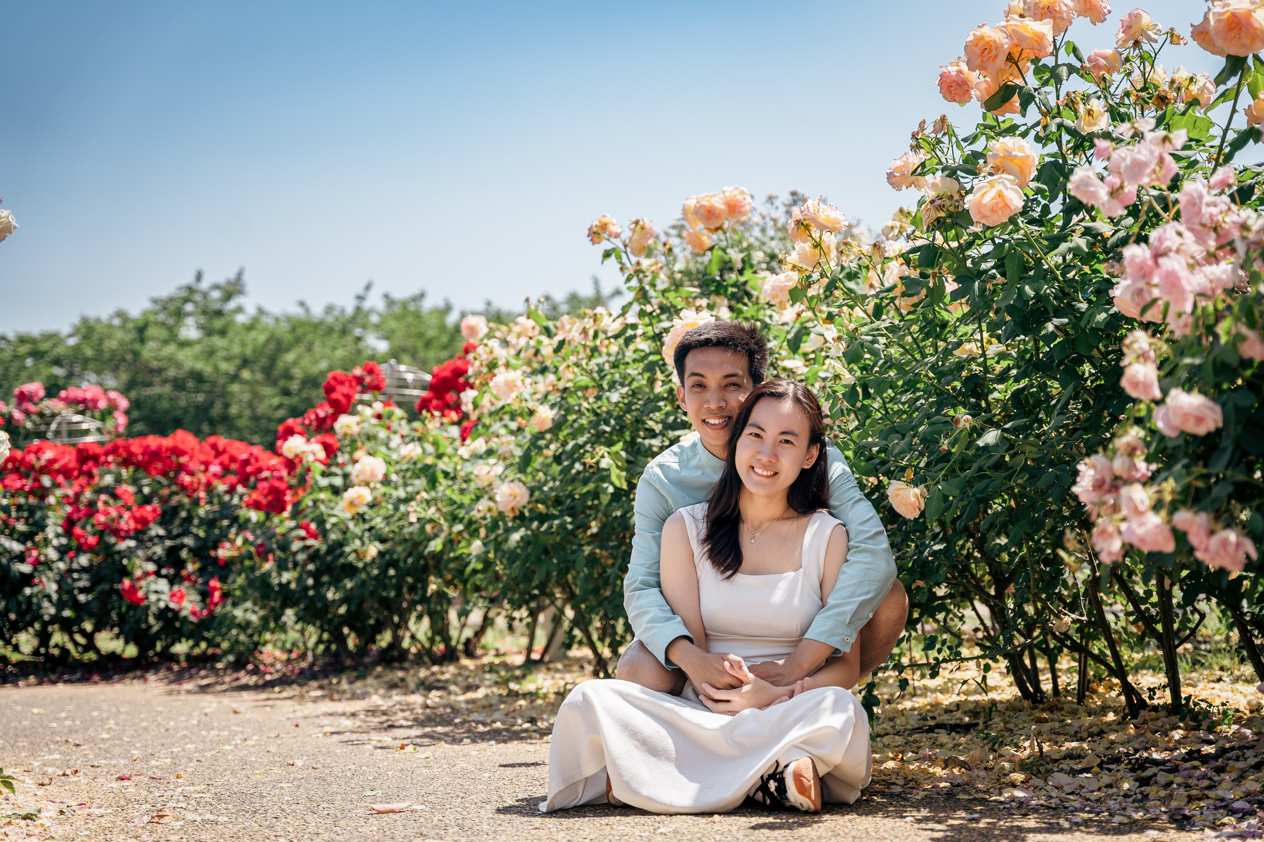 Fukuoka Couple Photoshoot: Roses, Totoro Forest & Sunset Love Story