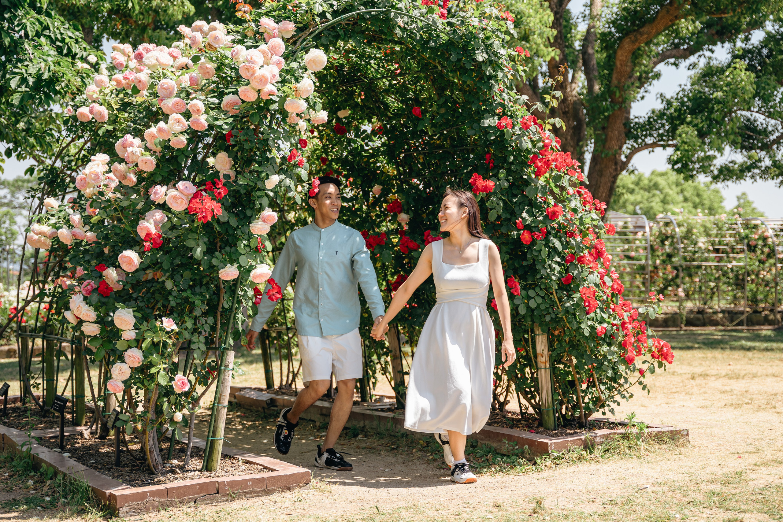 Fukuoka Couple Photoshoot: Roses, Totoro Forest & Sunset Love Story