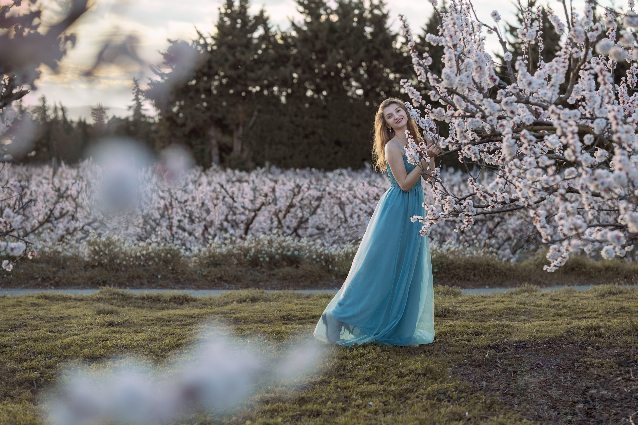 Jeune femme habillée en belle robe dans un verger en fleurs dans le sud de la France