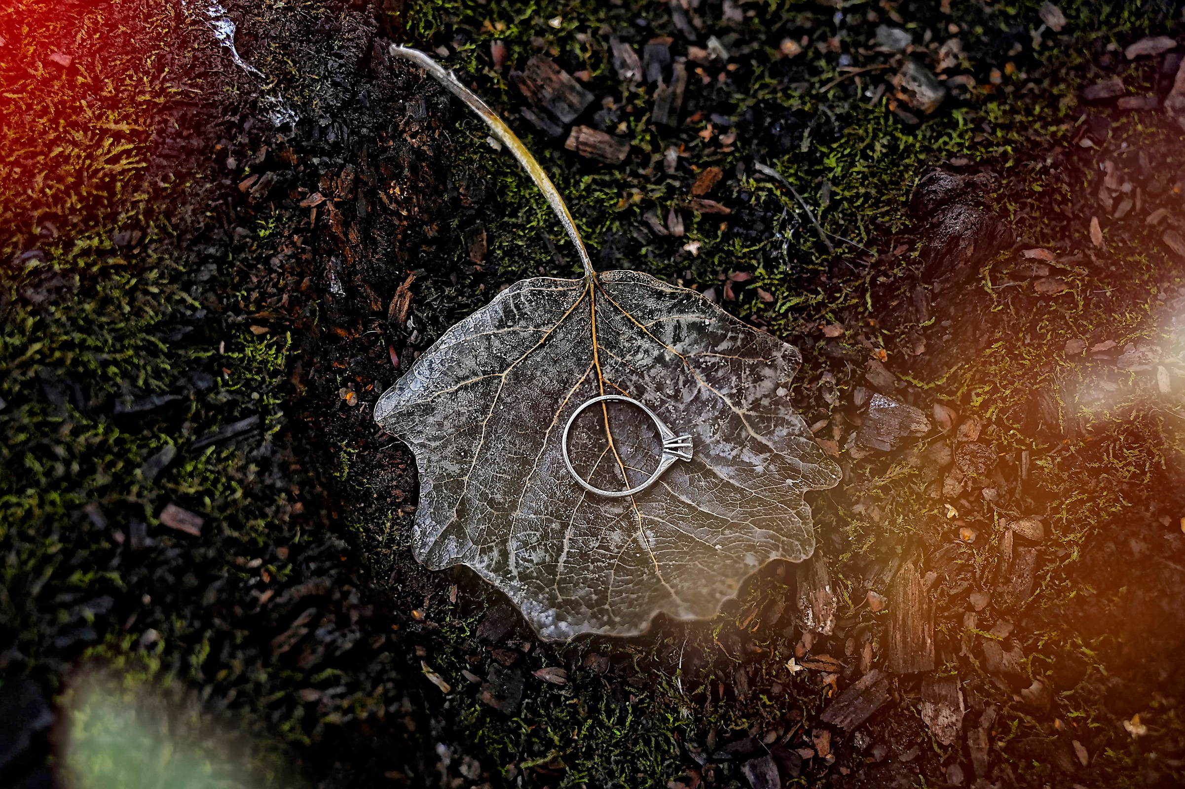 Fotograf Cununie Oferta Pret Craiova Pitesti 2024