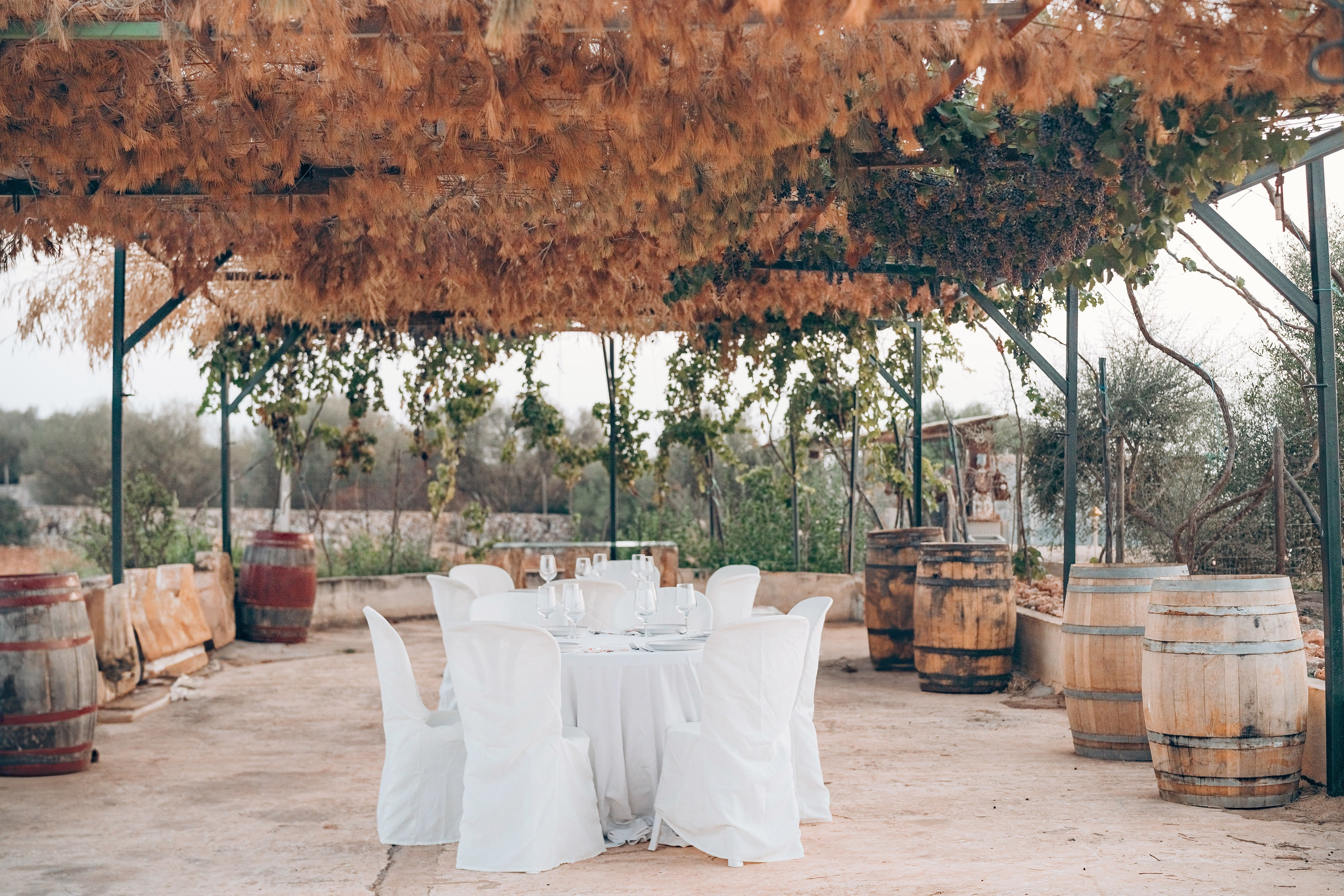 Bodega. Photographer in Mallorca
