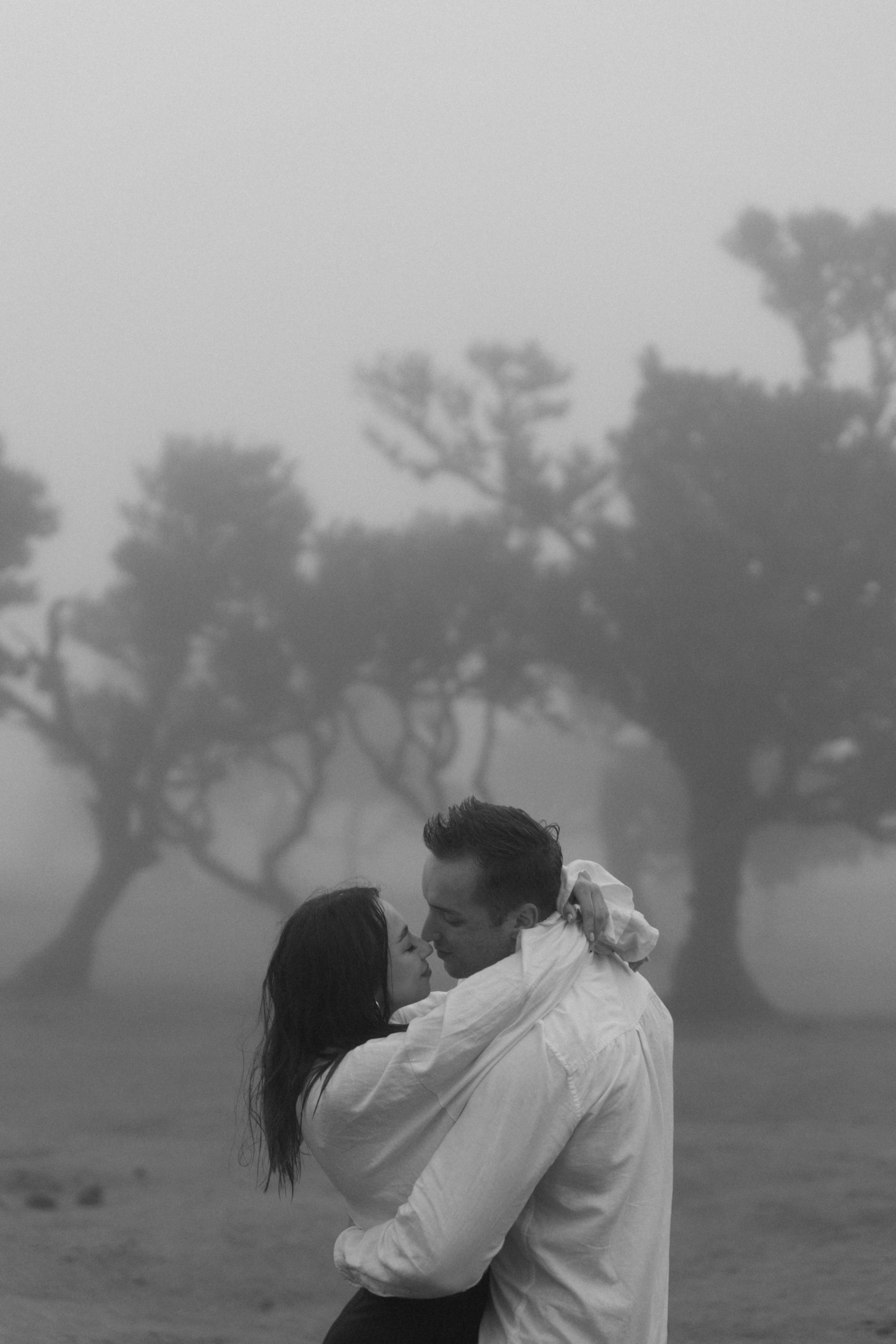 Magic of Fanal Forest. Wedding photographer and videographer based in Timisoara, Romania