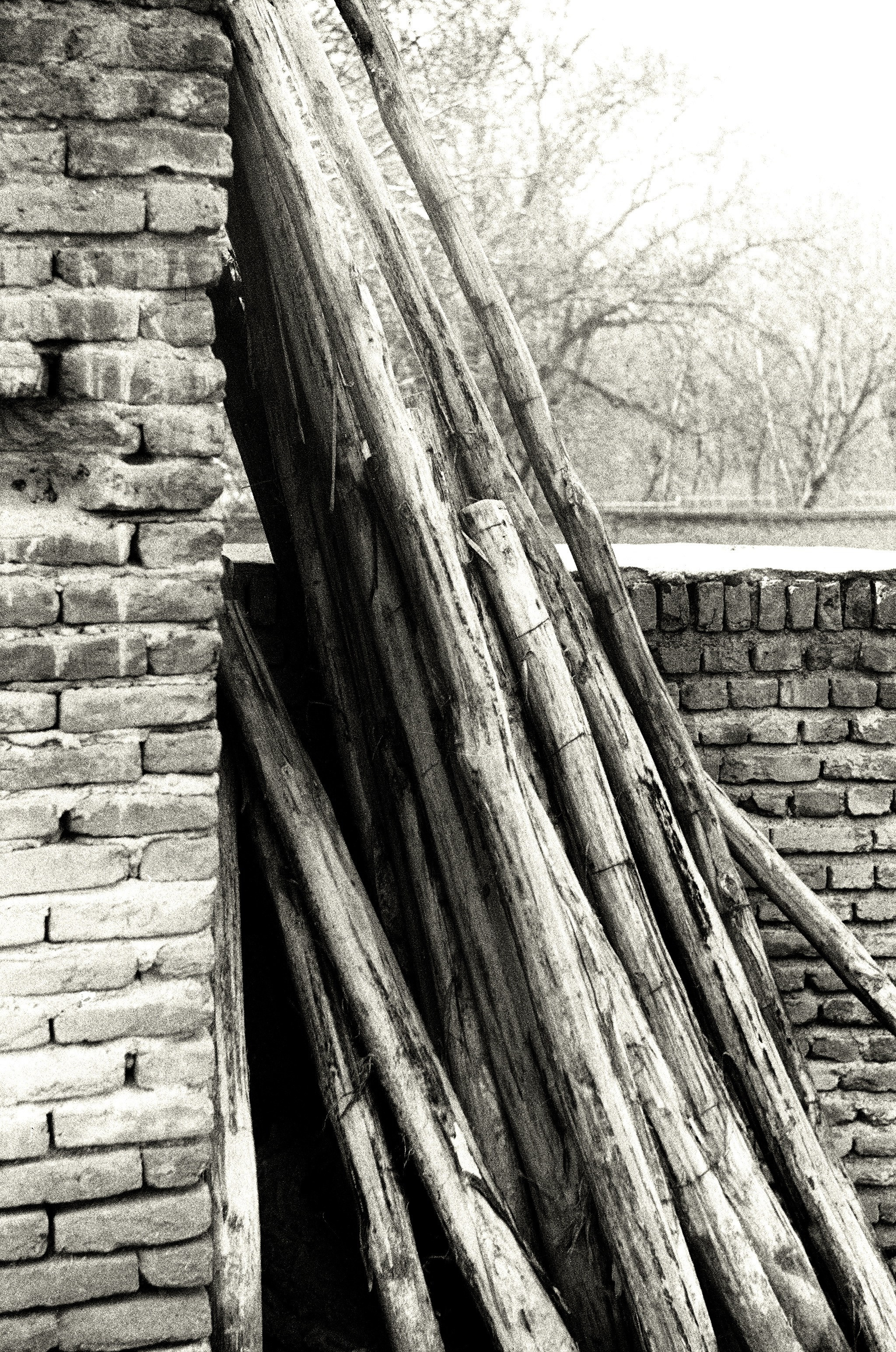 Arman Milani, Brand-Focused Video Production & Content Creation, Based in Berlin