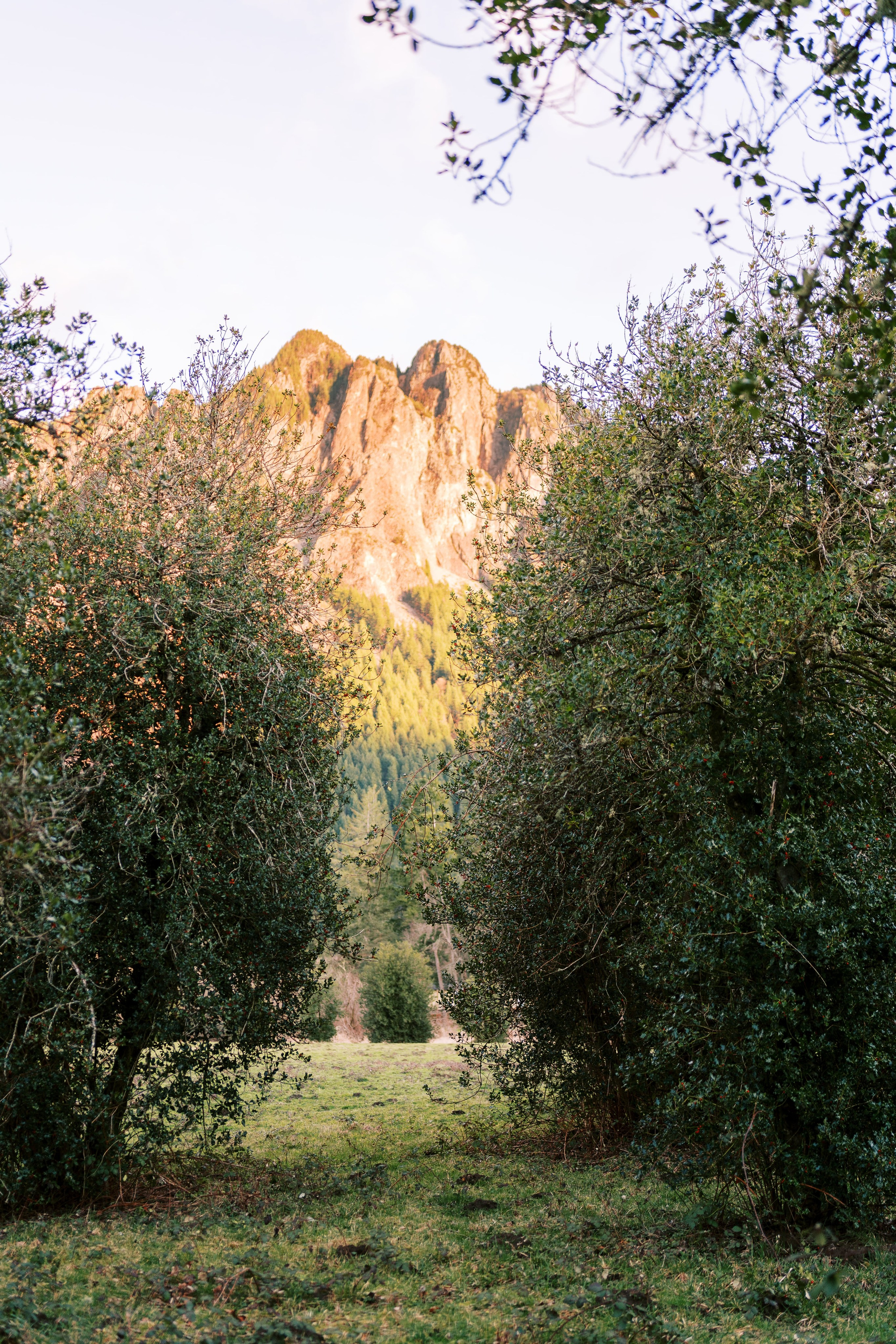 Engagement photo shoot/ Dmitry and Julia/ February 2024. North Bend, Washington. EVAN ARISTOV WEDDING PHOTOGRAPHY — Seattle Wedding Photographer