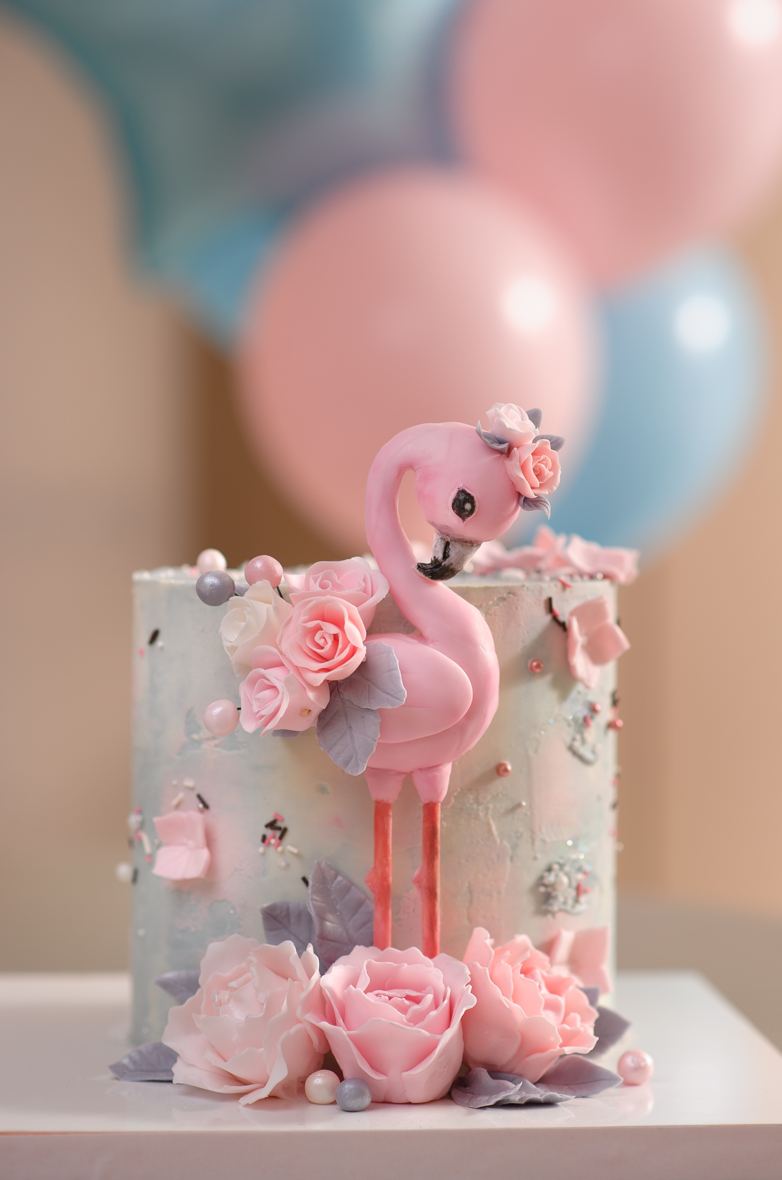 День Рождения Софии (7лет). Семейный фотограф в Кишинёве THOMAS SHTIFT