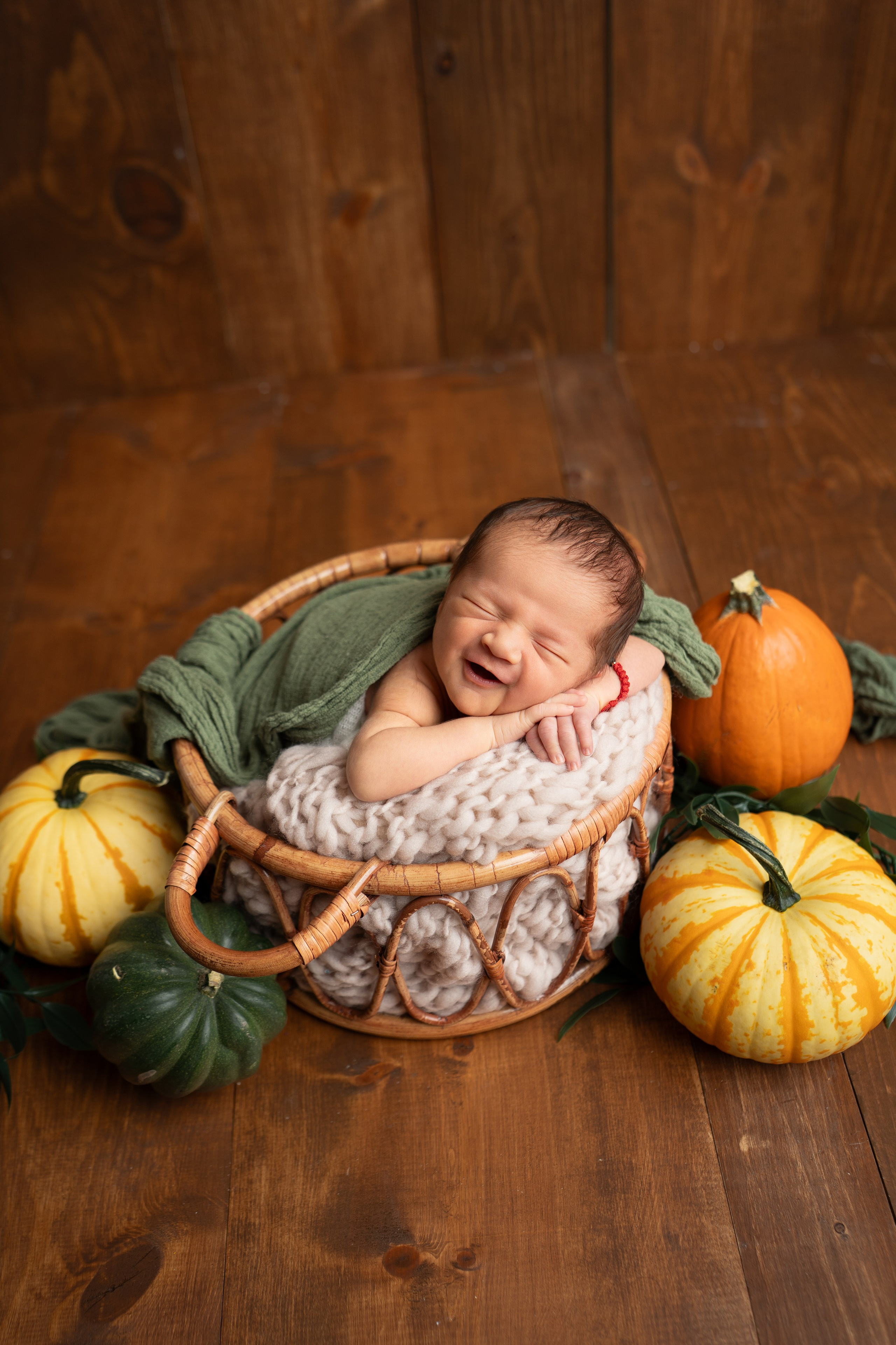 Posed Newborn. Maternity, family and newborn photography in San Francisco Bay Area