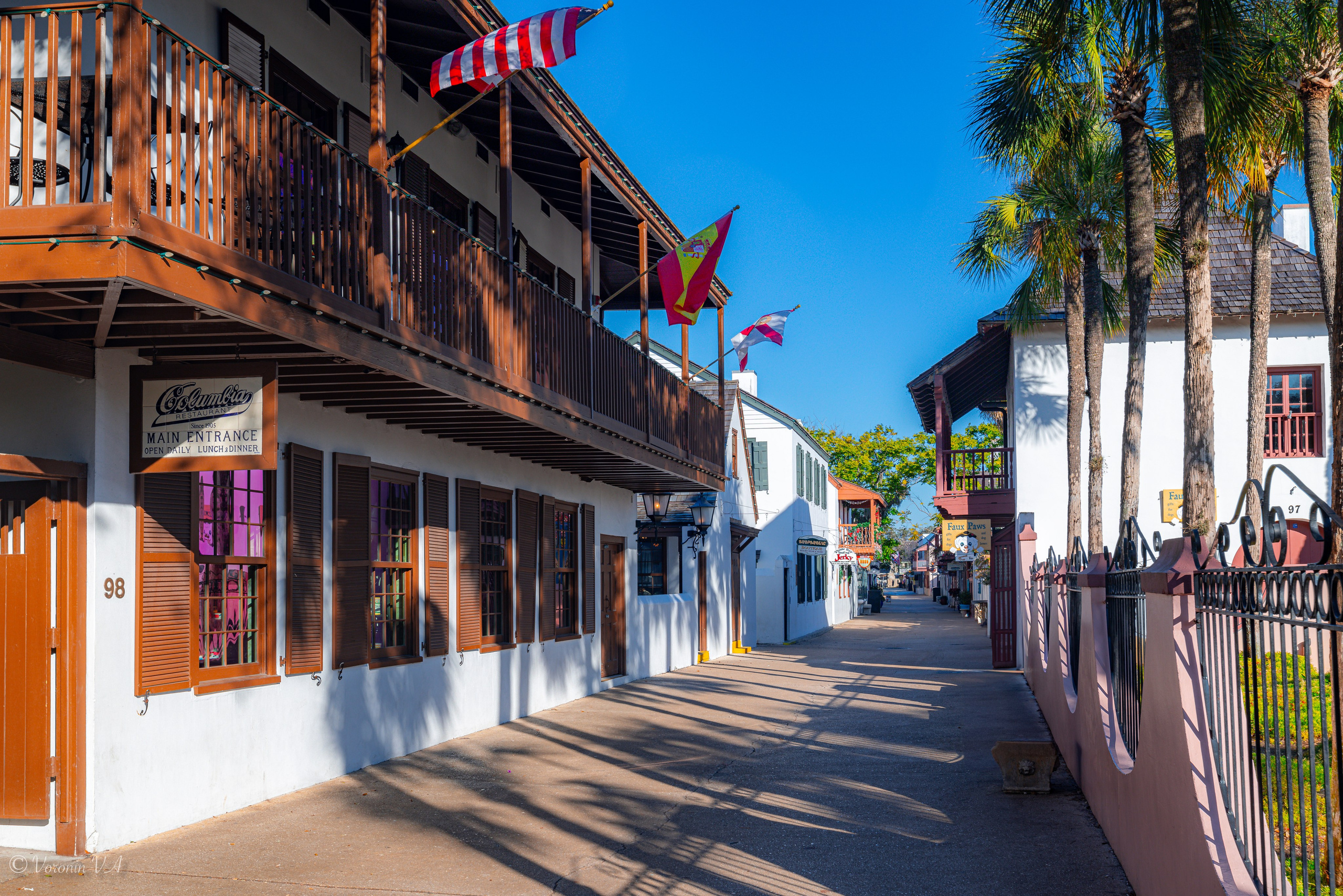 Vladimir Voronin — Walks, Portraits & Premium Prints. Photographer St. Augustine