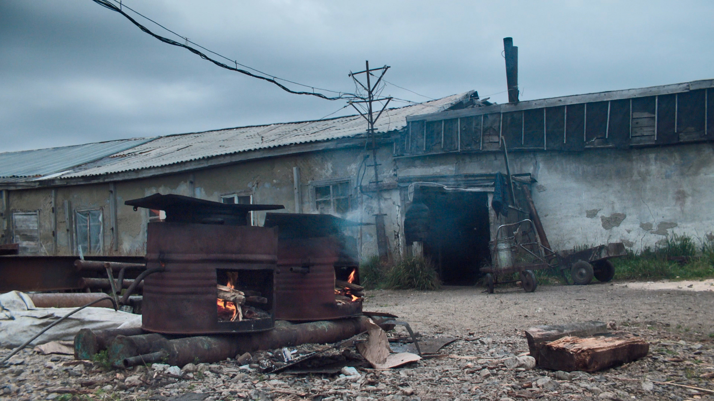 Piblokto. Singularity Film