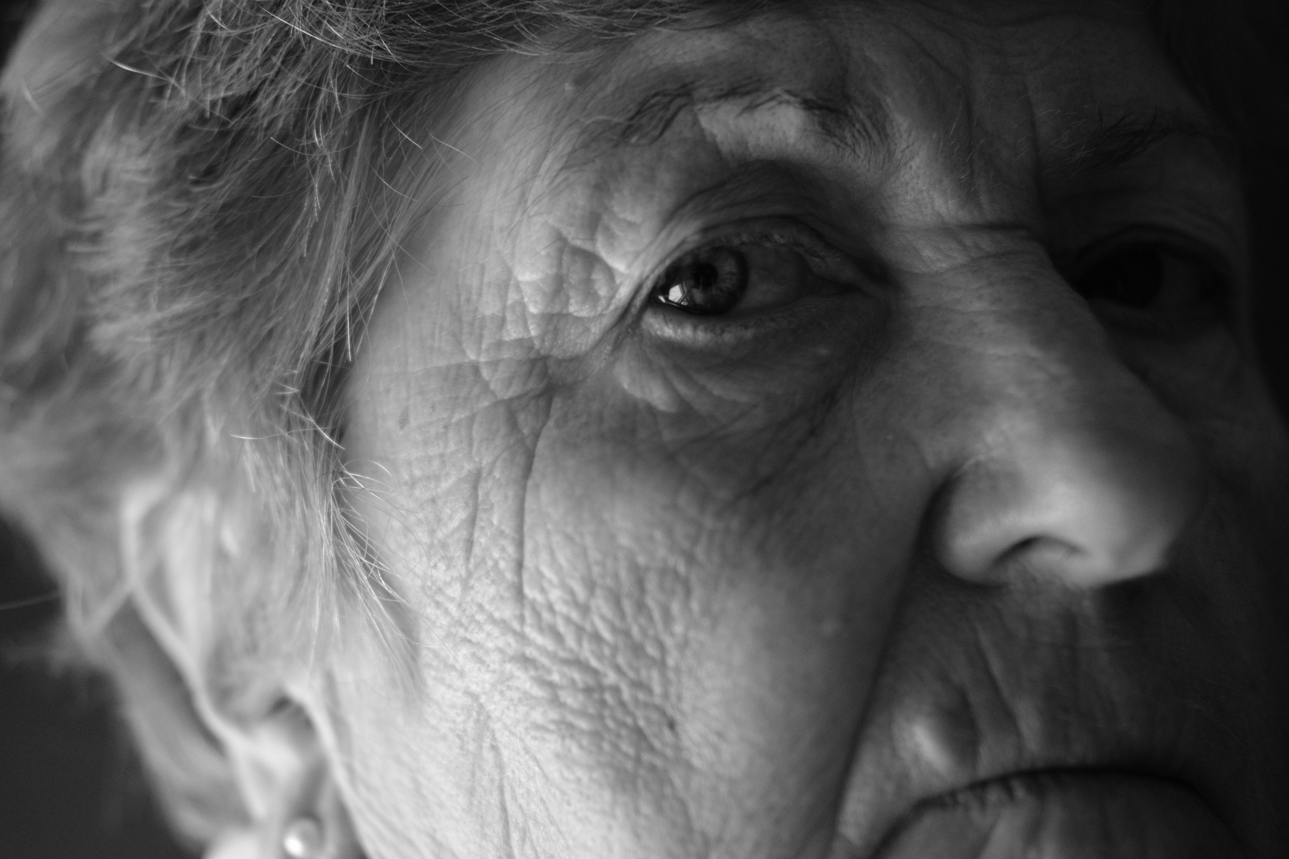 Photographe à Rennes/Bruz