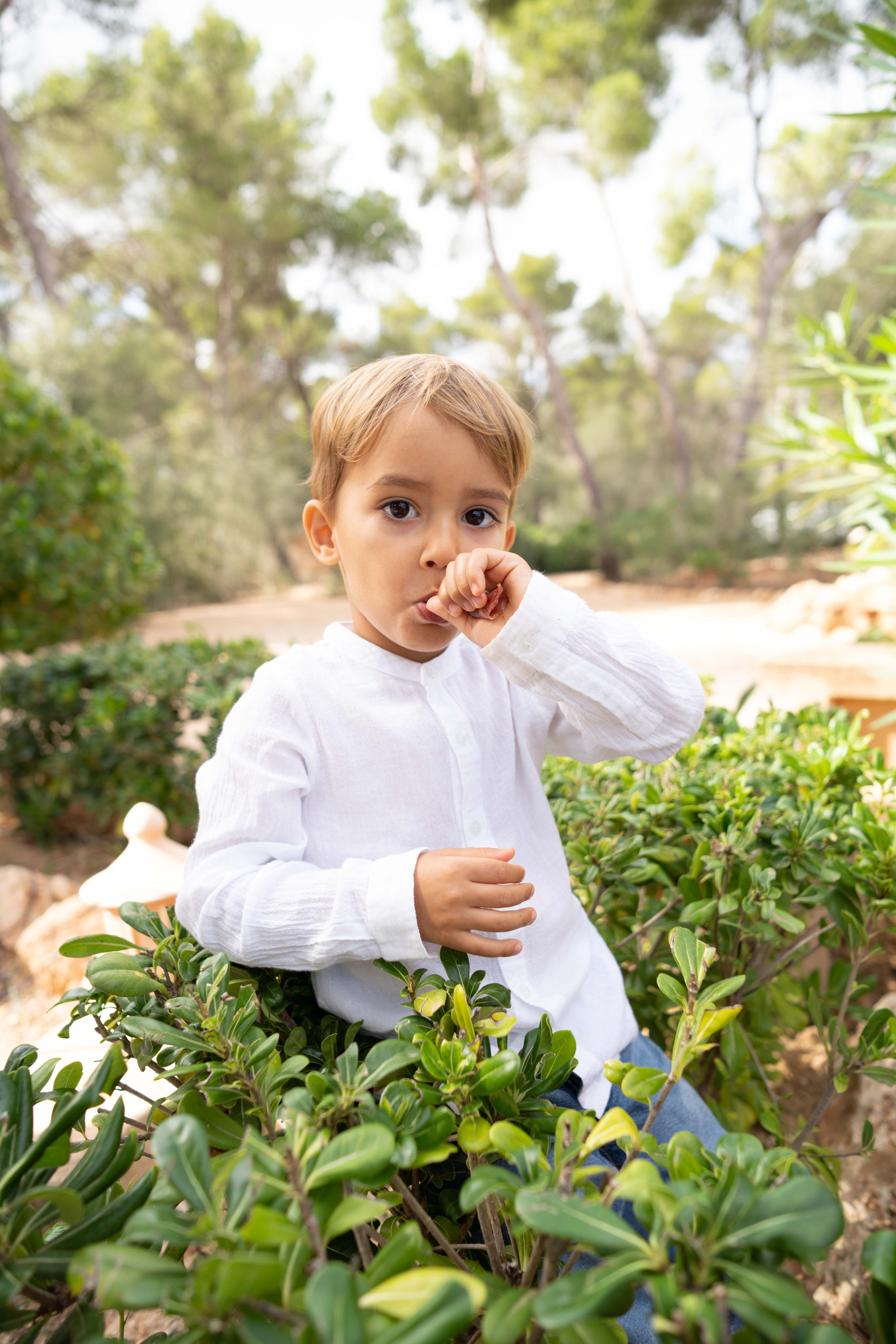 Wedding. Фотограф у Пальма де Майорка