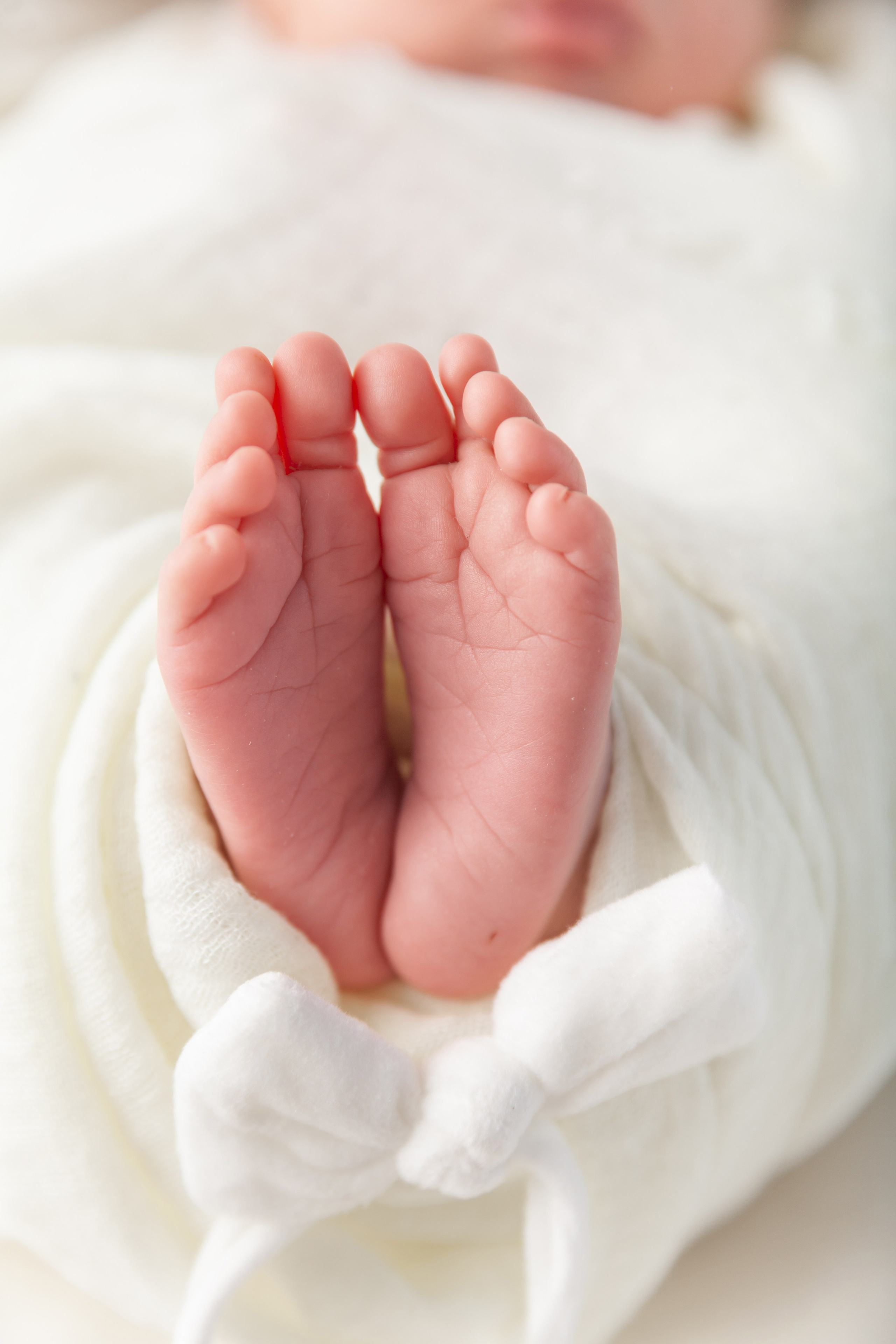 Services. Marina Pravda Photography San Francisco Bay Area