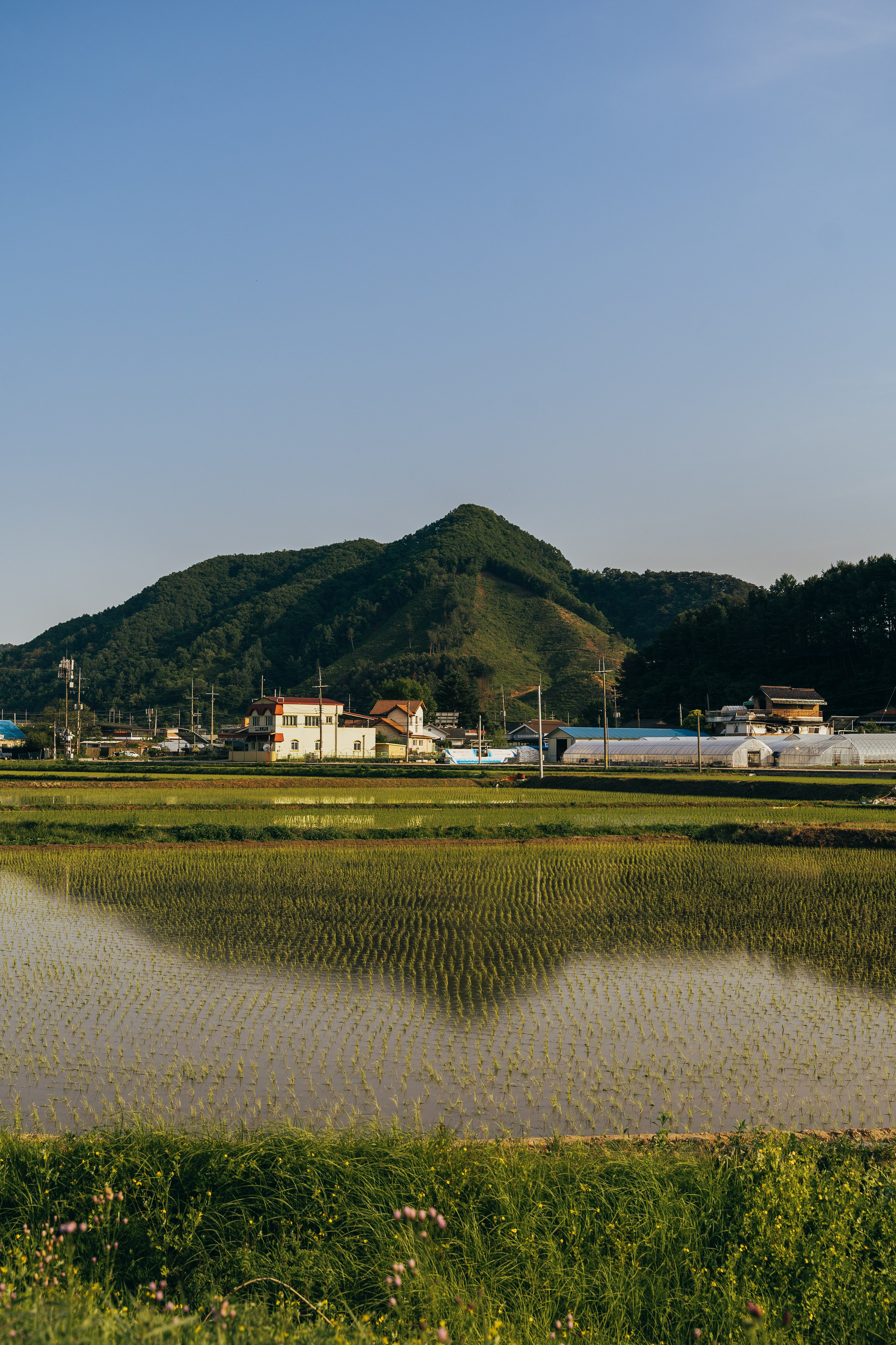 🇰🇷 Южная Корея. Фотограф и travel-блоггер Александра Гриценко