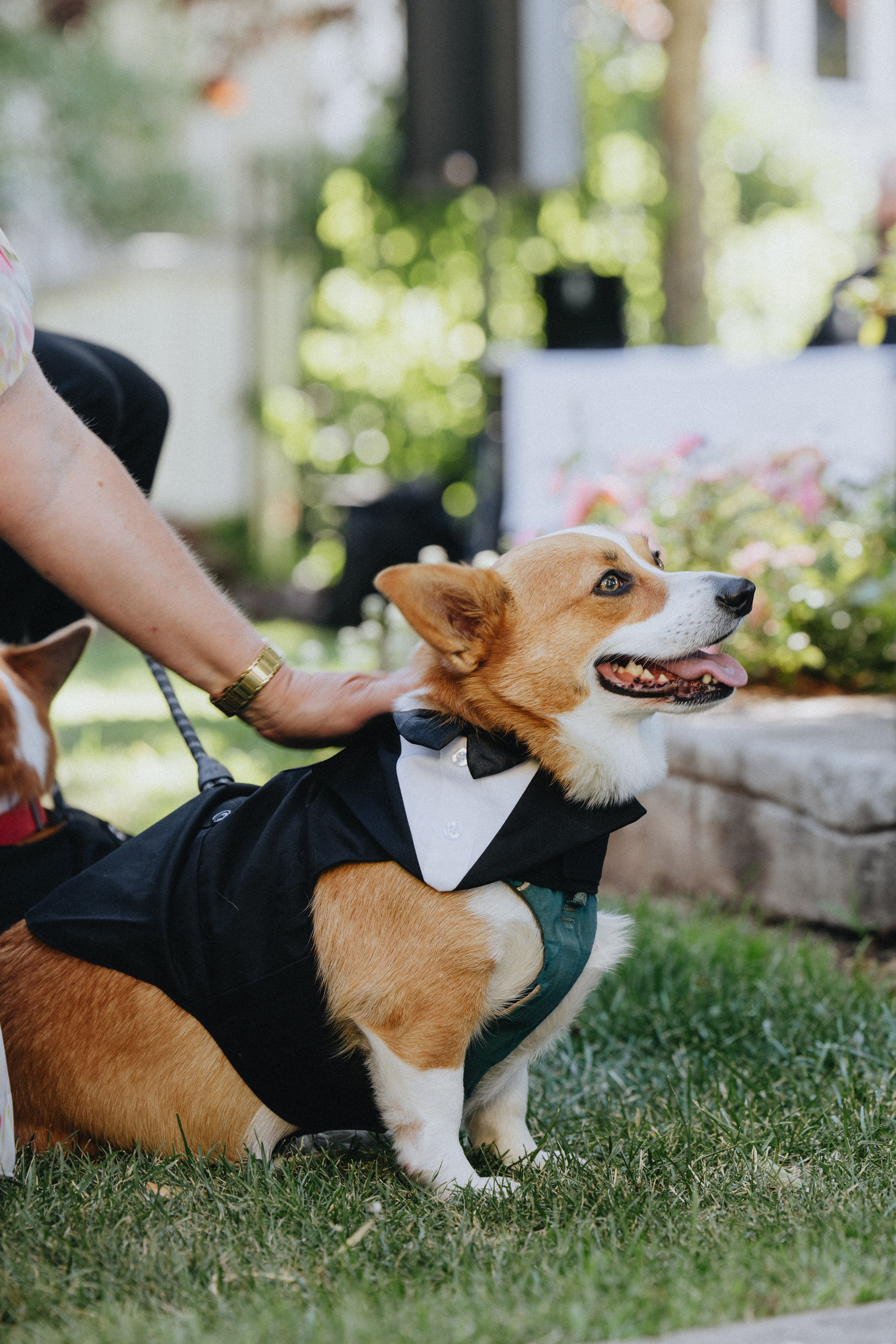 Brook & Richard's Wedding in Portland Oregon| Captured by Georgy Shishkin, Professional Wedding Photographer Seattle, Bend & Oregon Coast. Capturing Love in the Heart of the Pacific Northwes