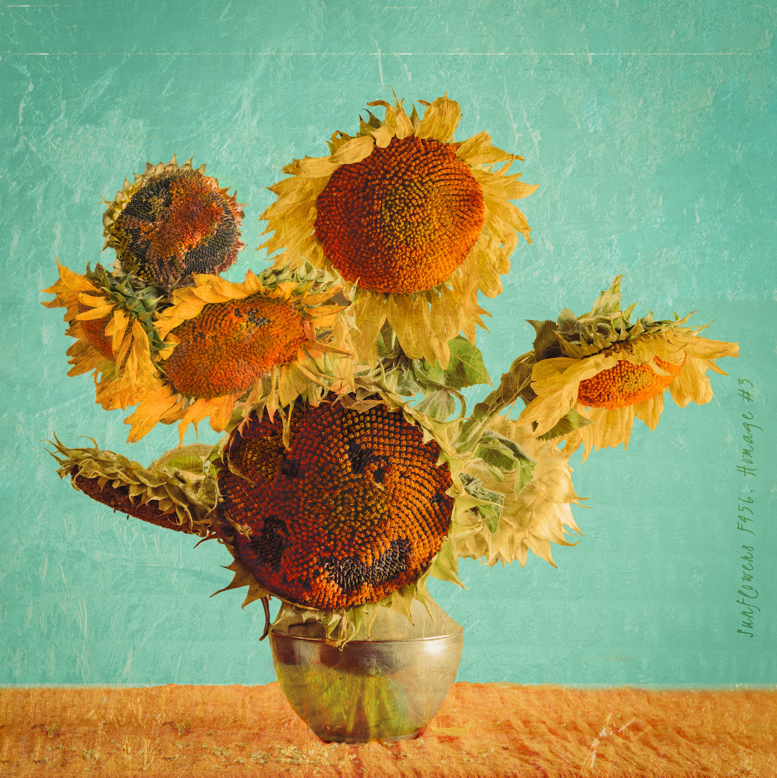 Van Gogh and the Sunflowers. Tribute. Fine art portrait. Director, Photographer and Artist in Valencia Natasha Bogomolova