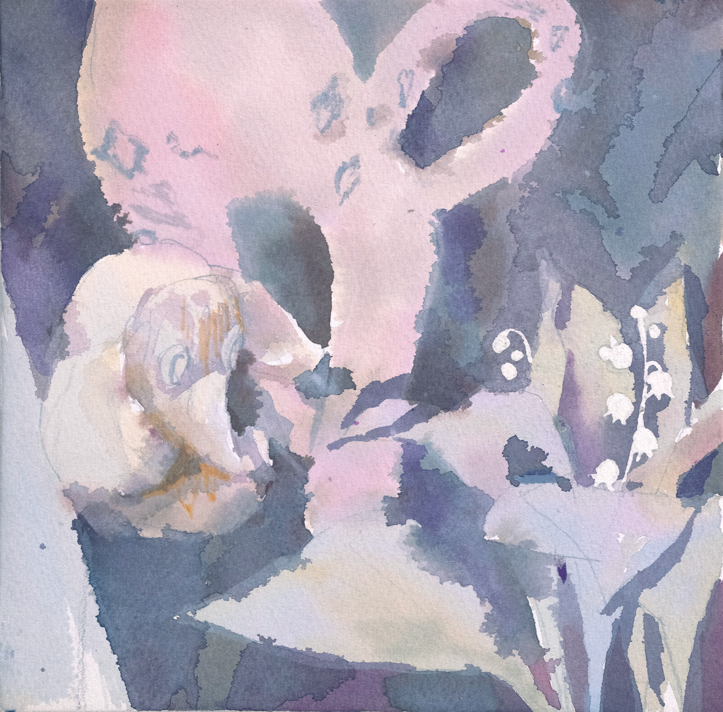 Частный парадайс | 2025. Alina Kugush