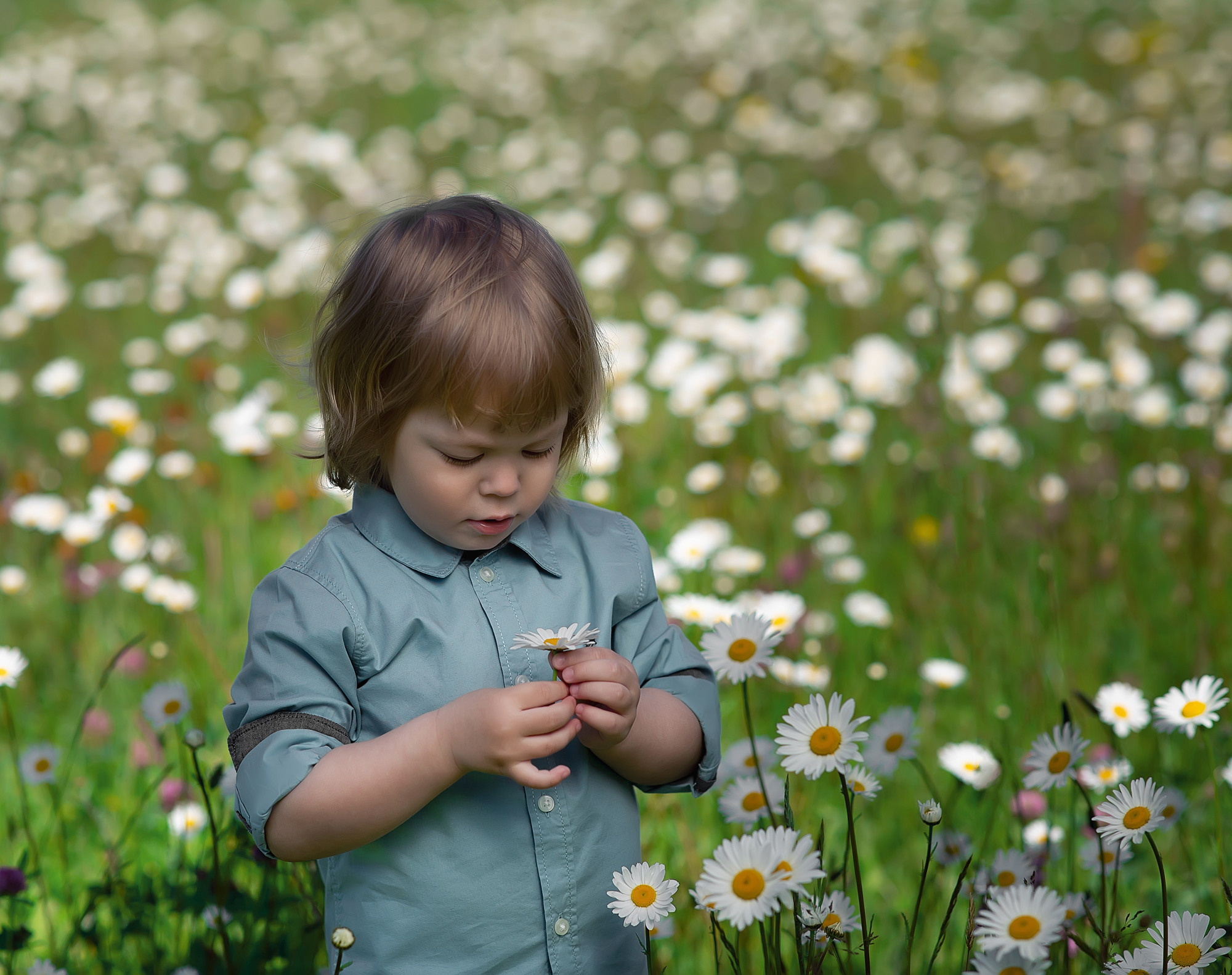 Baby Fotoshooting