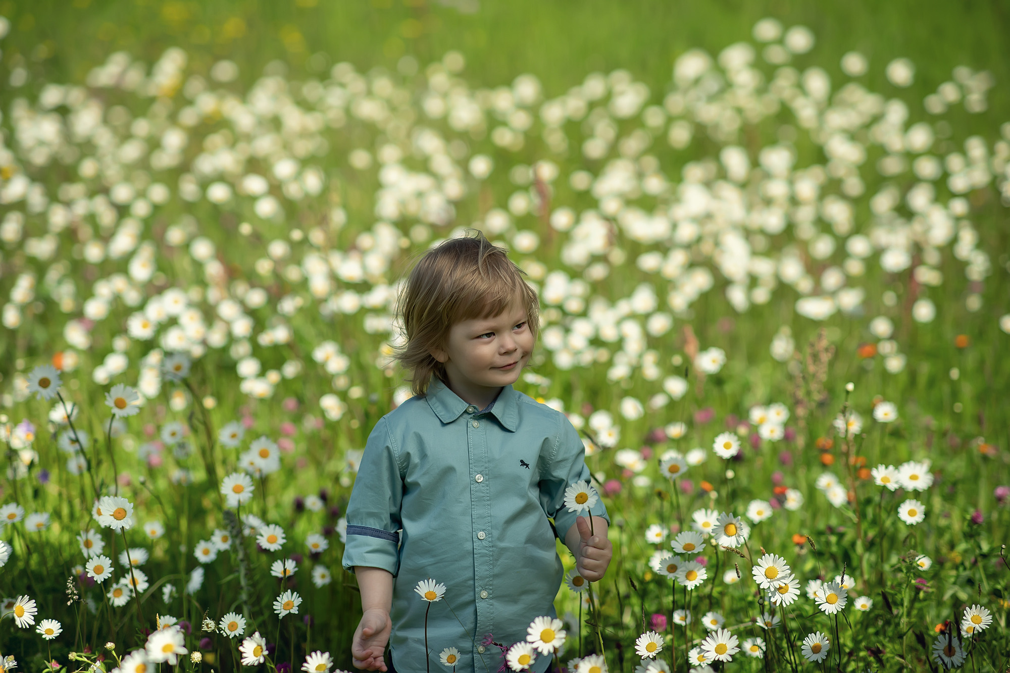 Baby Fotoshooting