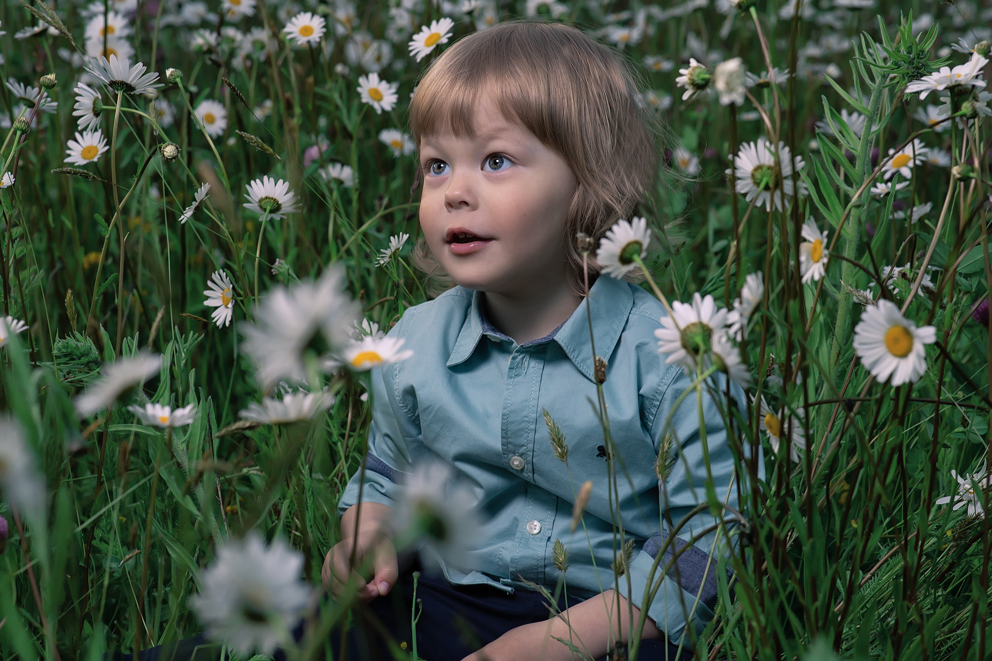 Baby Fotoshooting